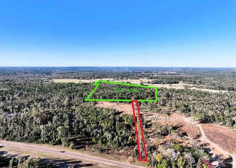 Vacant Land For Sale - TBD Us 259 33.31 Acres<br/> Ore City, TX 75683
