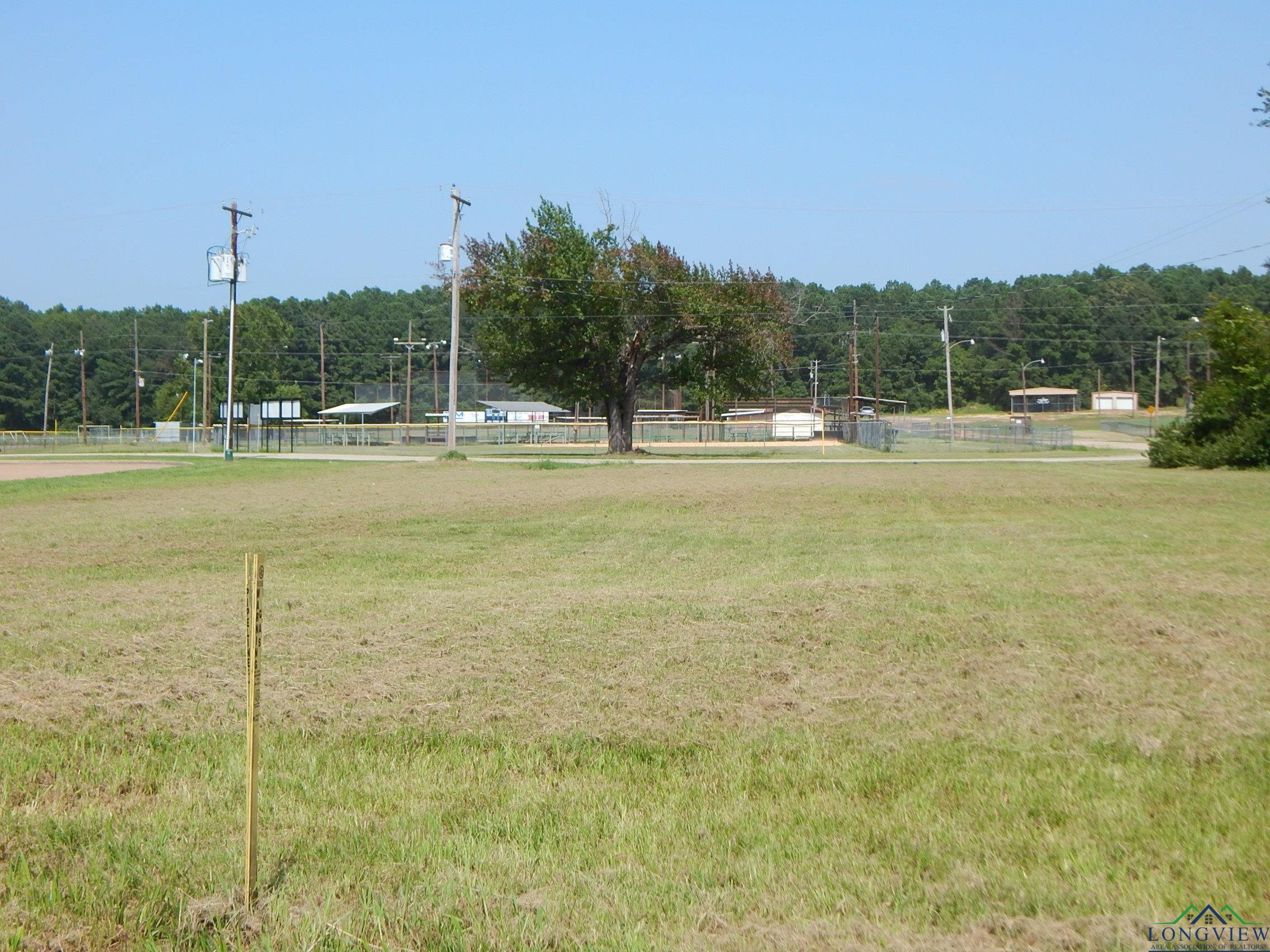 1406 Us Hwy 271 N. E/sid, Gilmer, Texas image 9