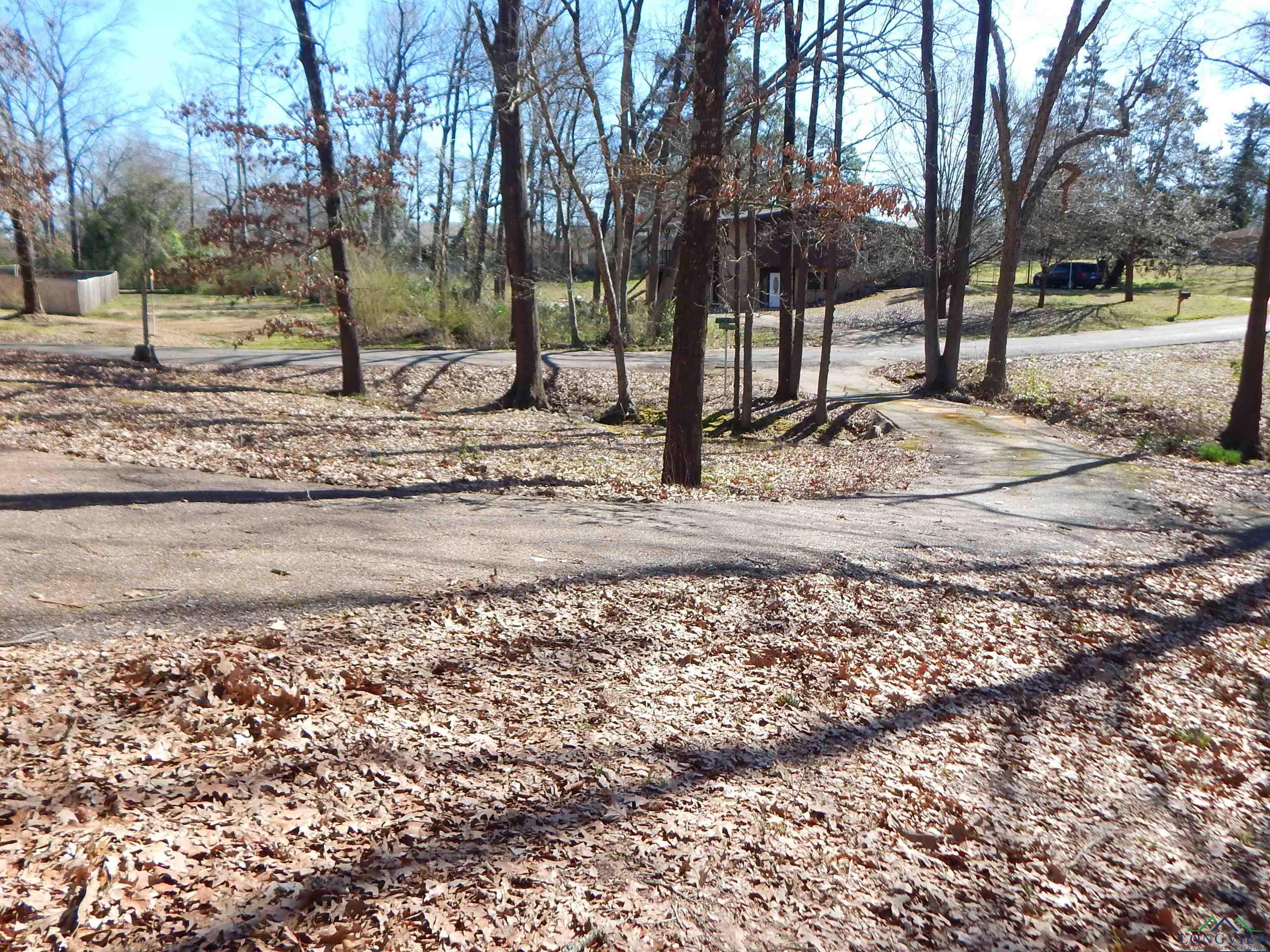 72 Cr 4164, Pittsburg, Texas image 3