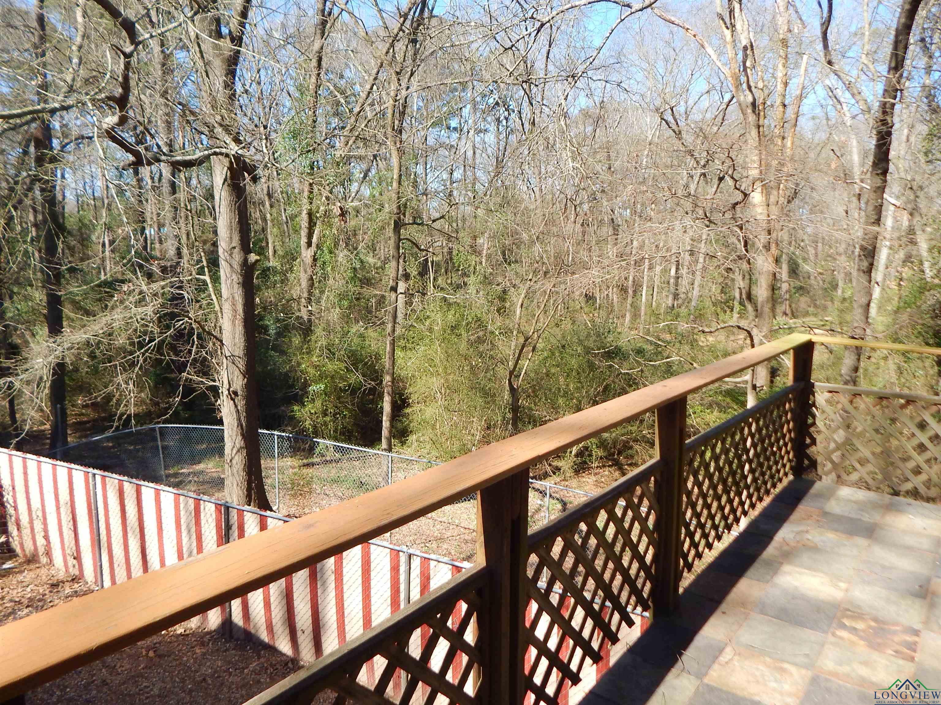 72 Cr 4164, Pittsburg, Texas image 25