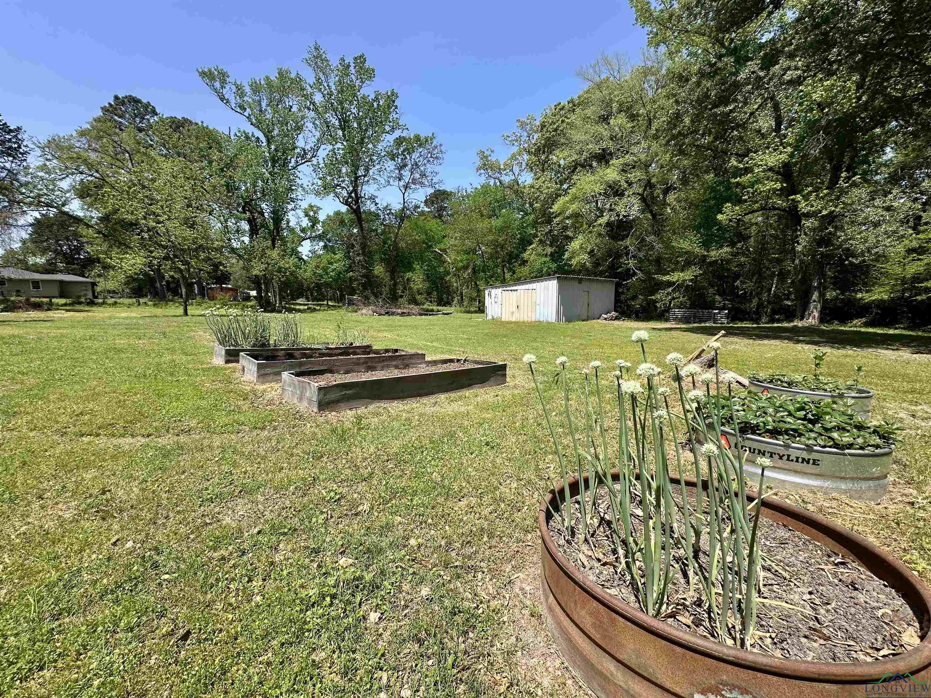 3170 State Highway 154 West, Gilmer, Texas image 13