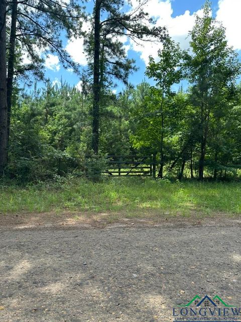 Vacant Land For Sale - TBD W Liberty Road<br/> Harrison County, Harleton, TX 75651