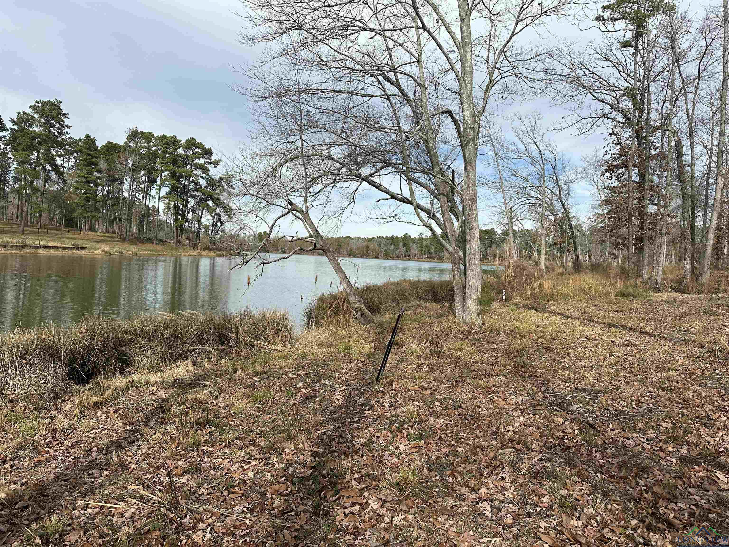 Lot 22 Boulder Ct, Hallsville, Texas image 7