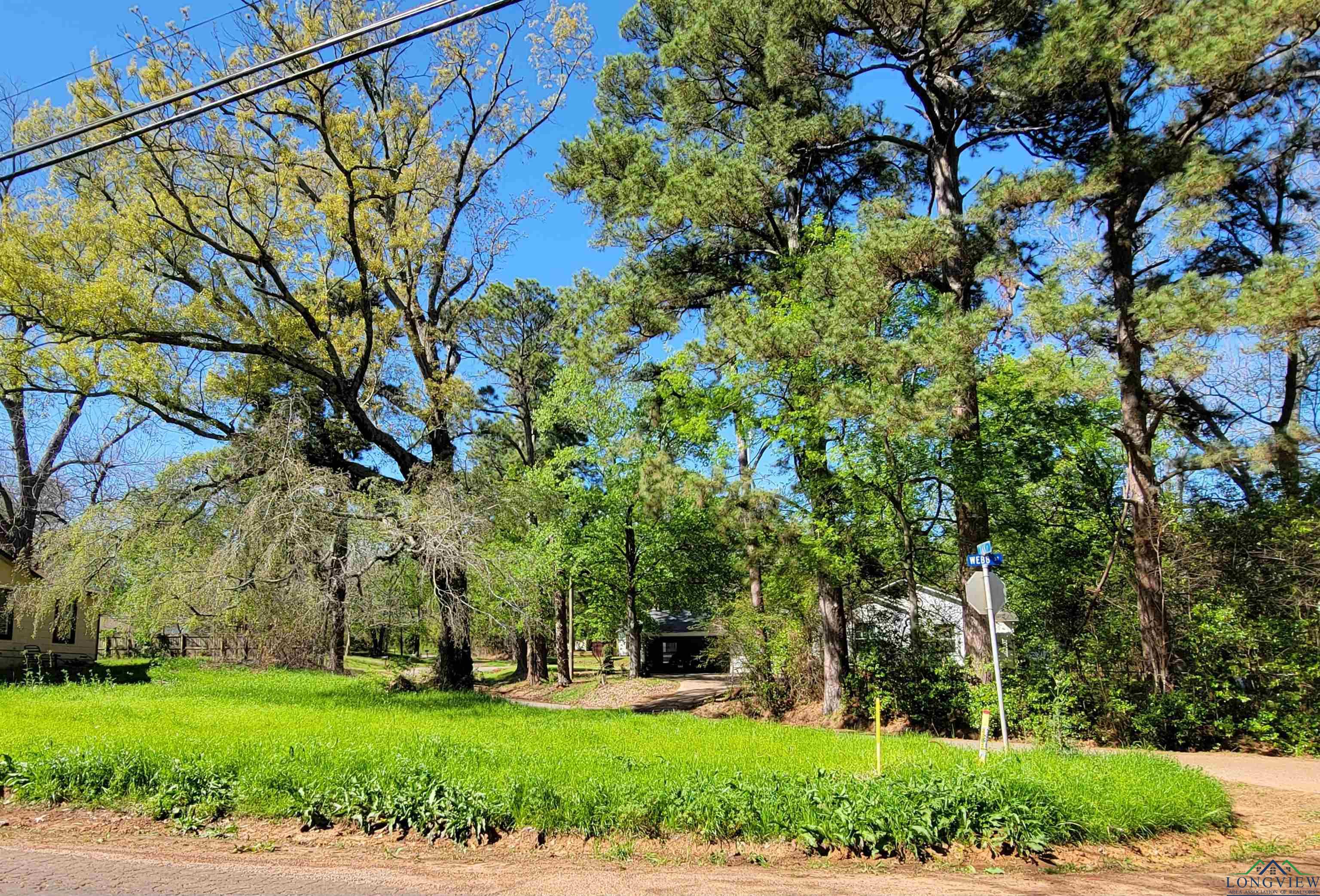 800 Webb St, Daingerfield, Texas image 4