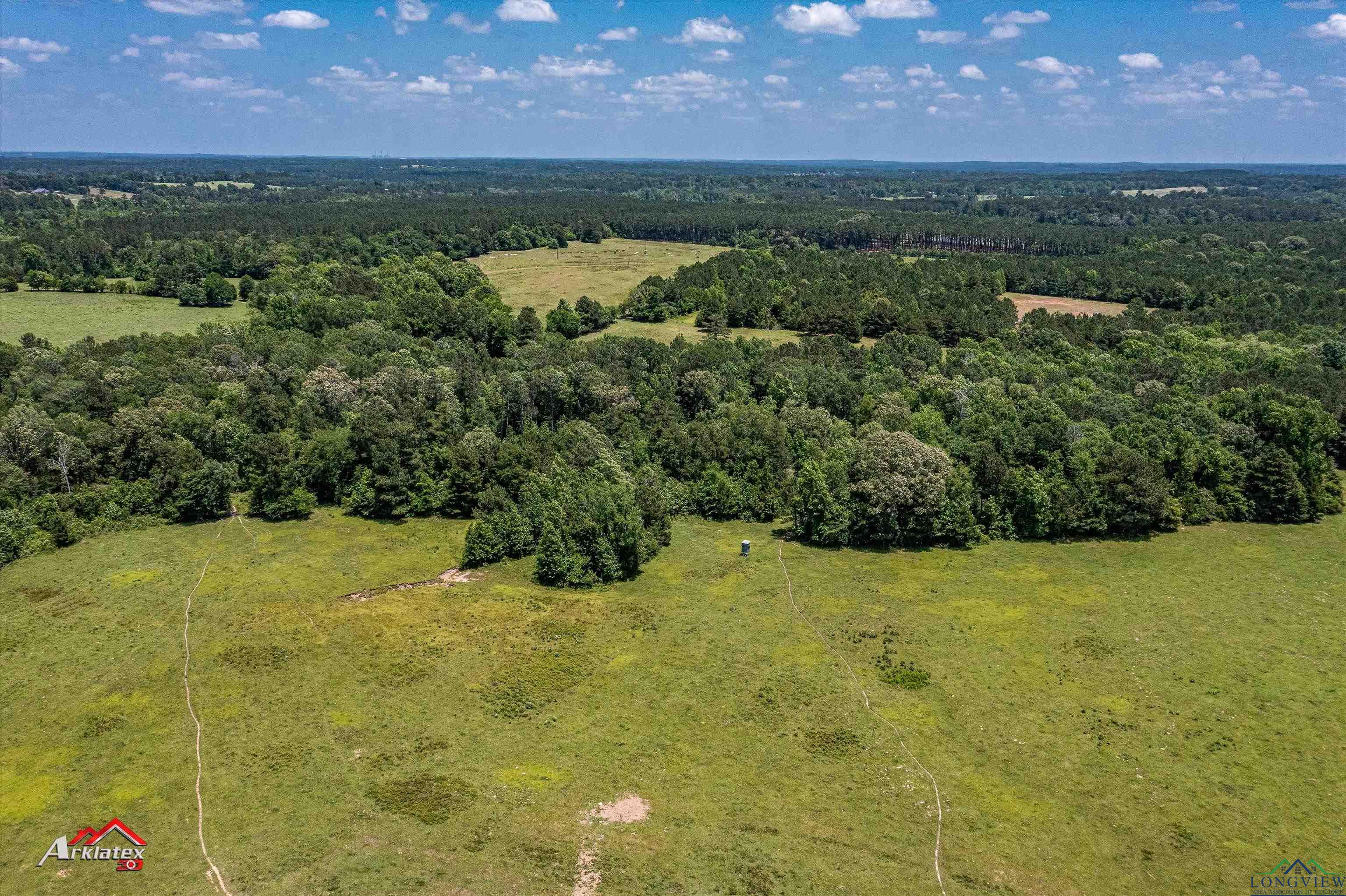 TBD Fm 3135 (+/-266ac), Henderson, Texas image 16