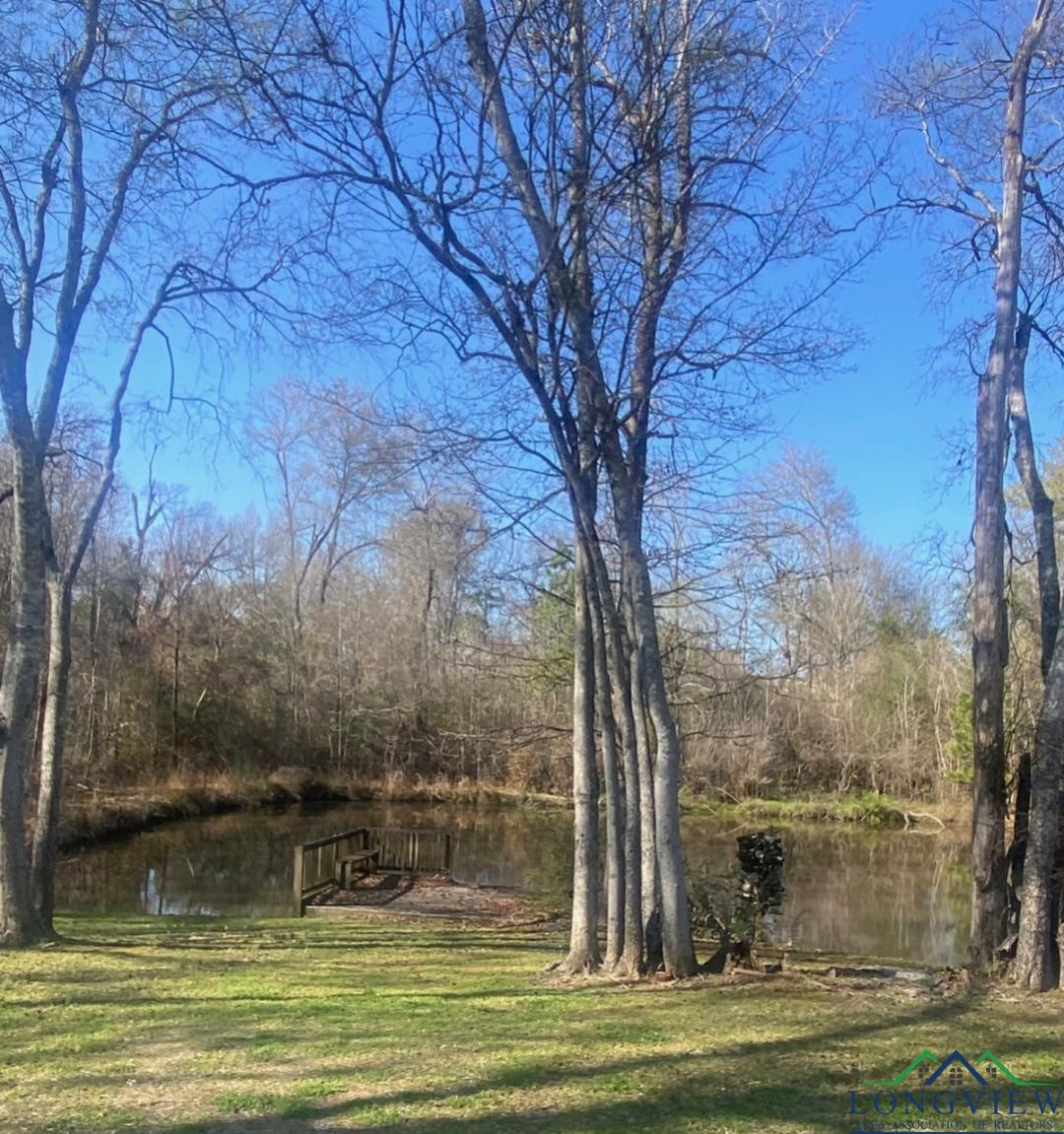 326 Cottonwood Spur, Carthage, Texas image 3