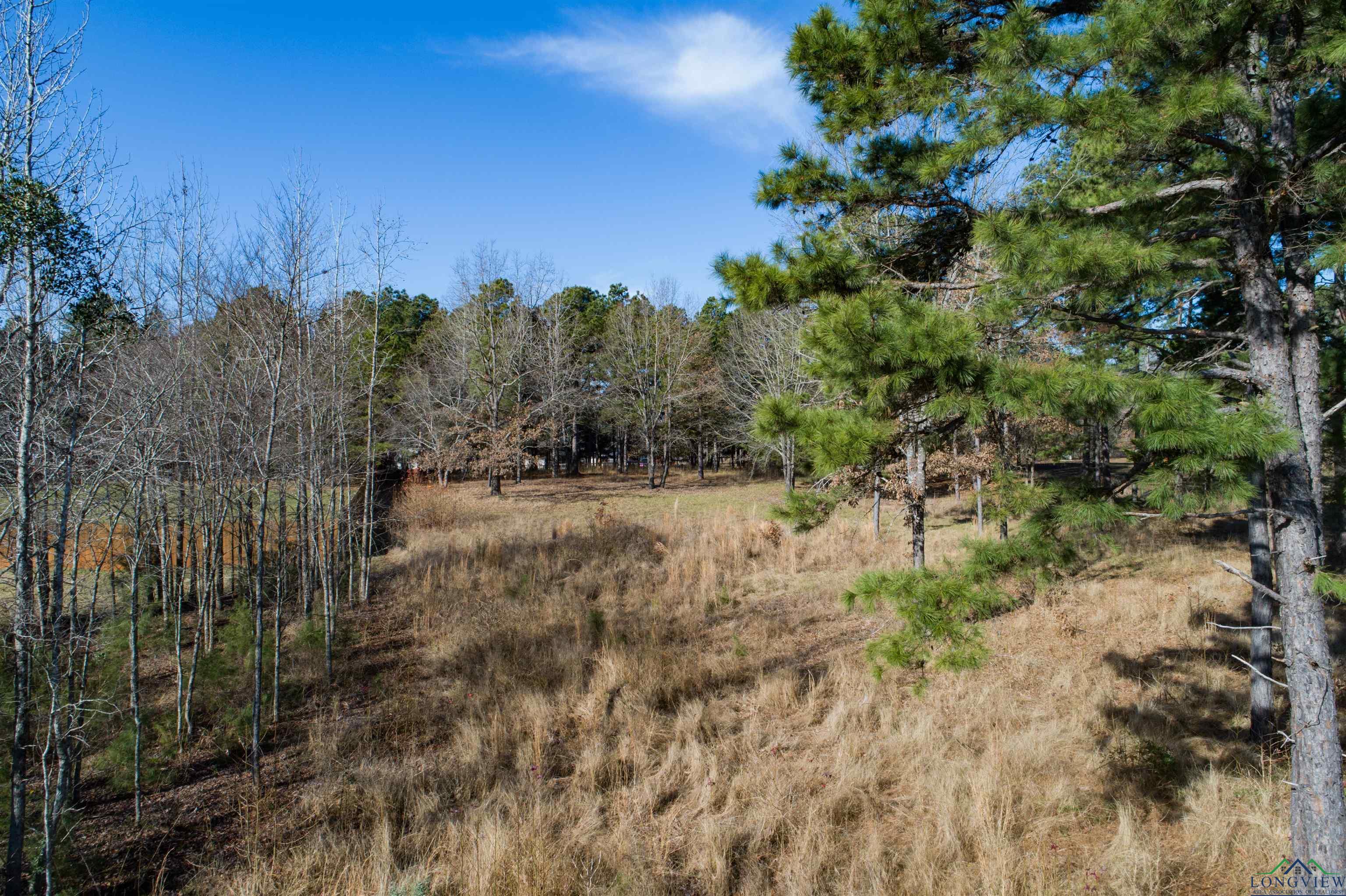 Lot 6 N Clover Lane, Diana, Texas image 2