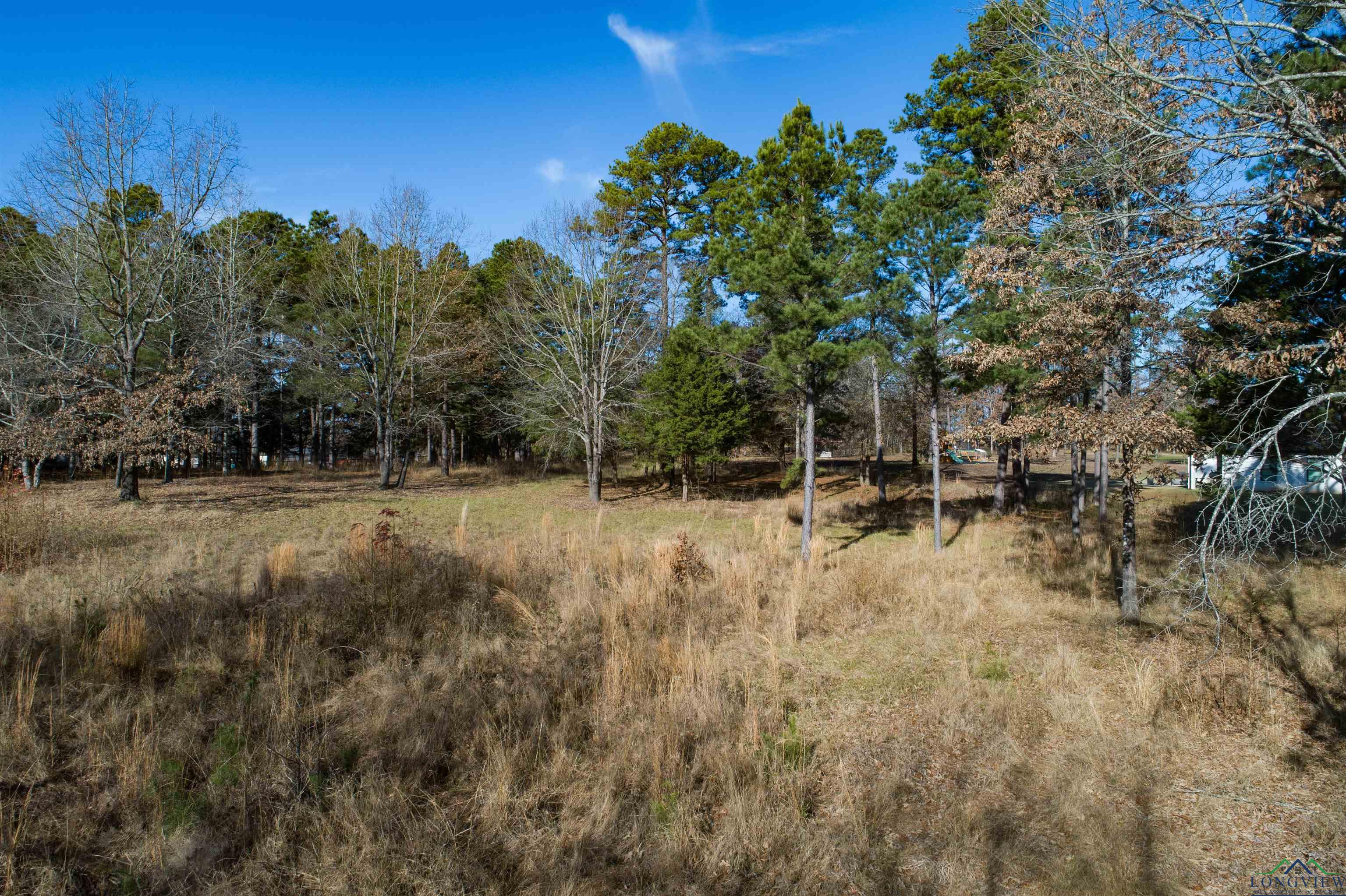 Lot 6 N Clover Lane, Diana, Texas image 3