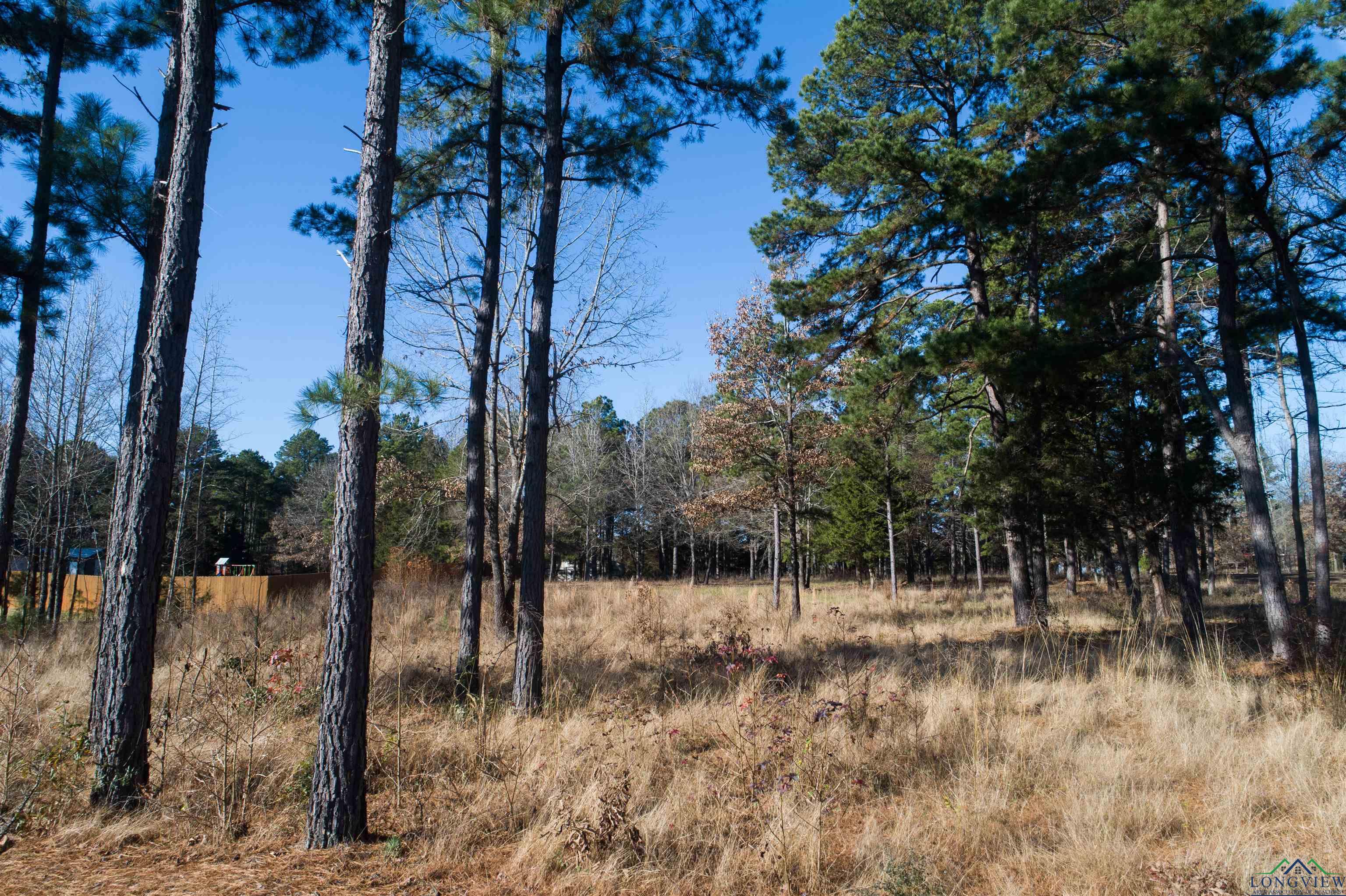 Lot 6 N Clover Lane, Diana, Texas image 1