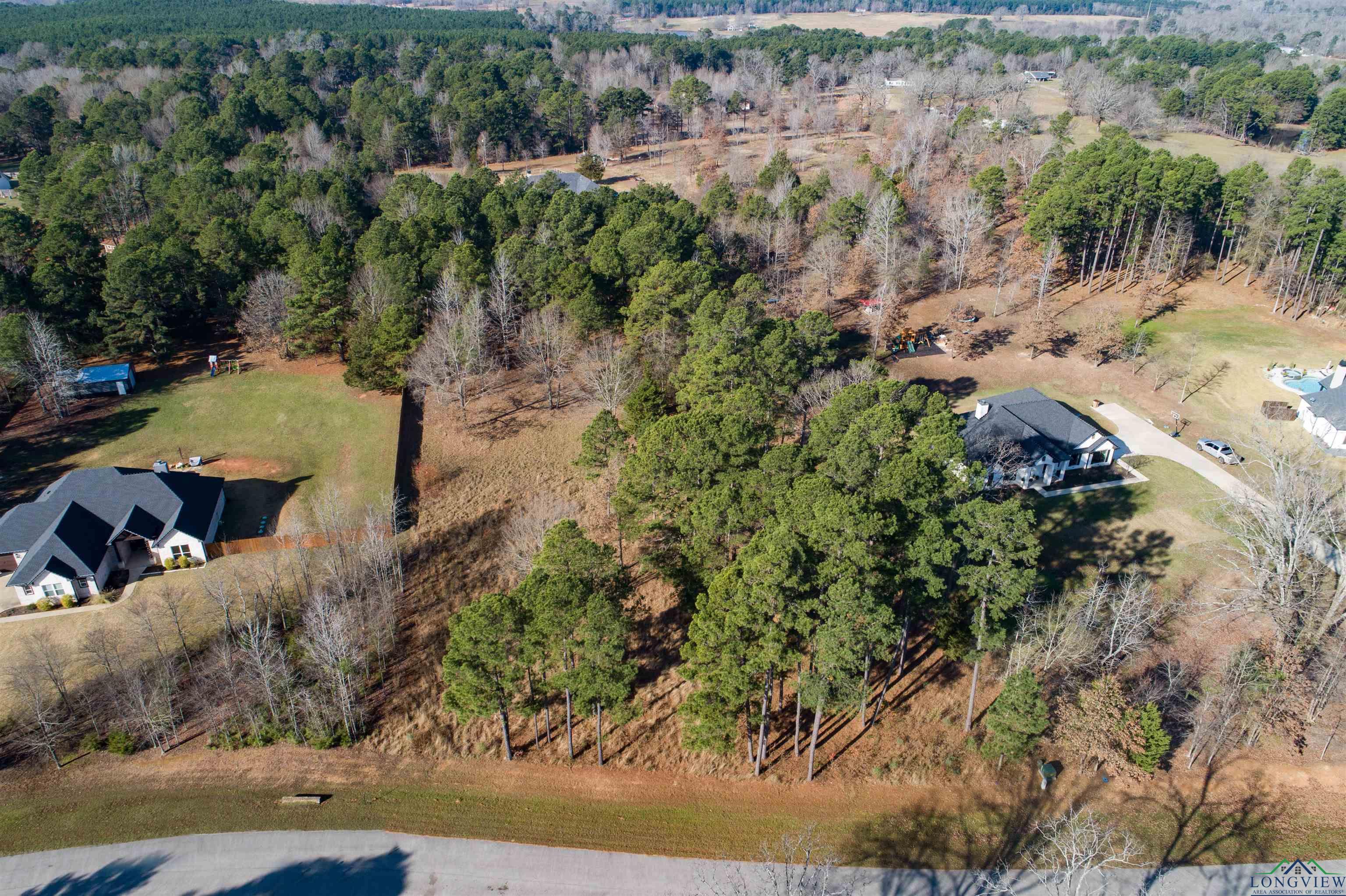 Lot 6 N Clover Lane, Diana, Texas image 5