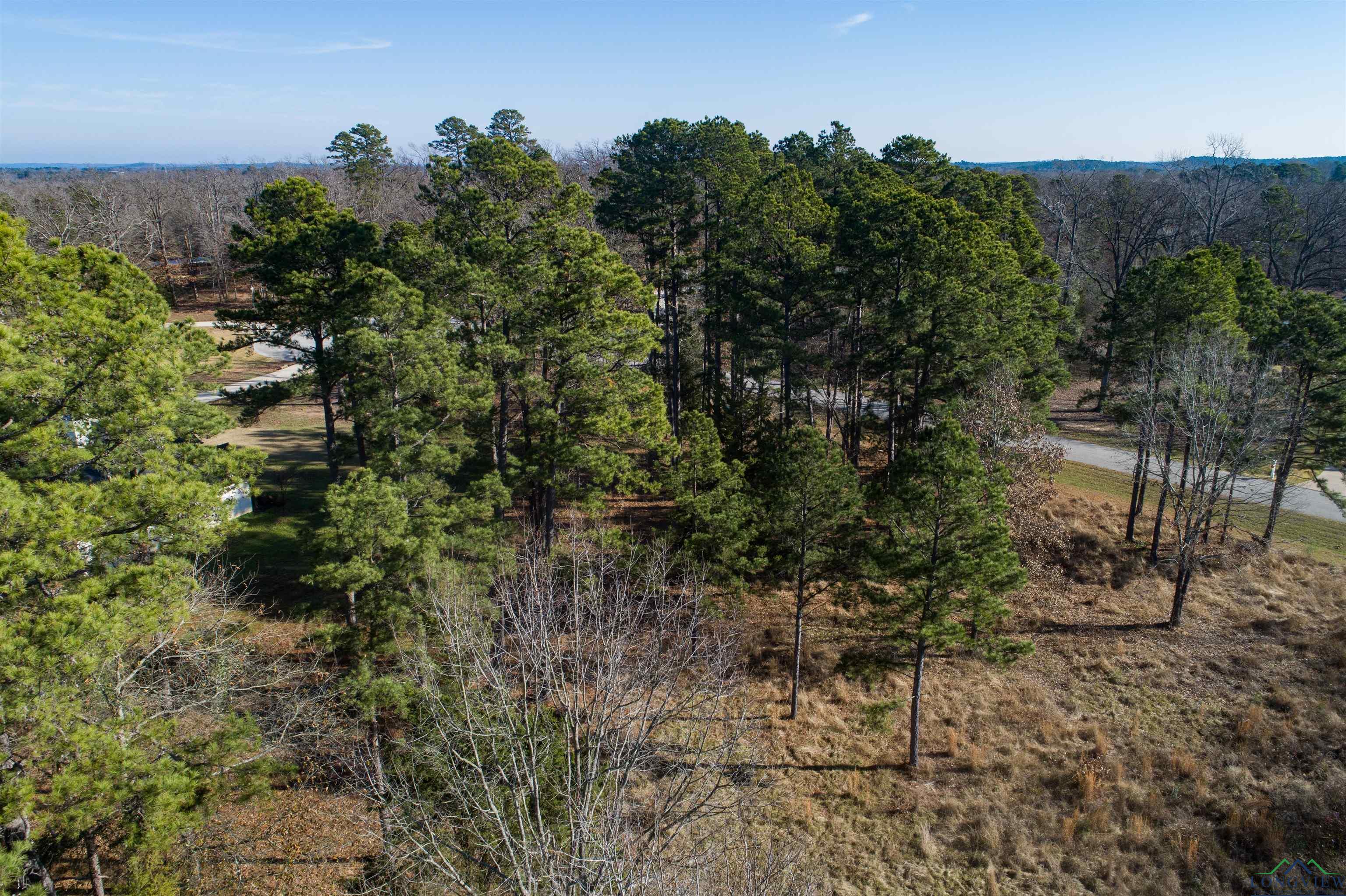 Lot 6 N Clover Lane, Diana, Texas image 8