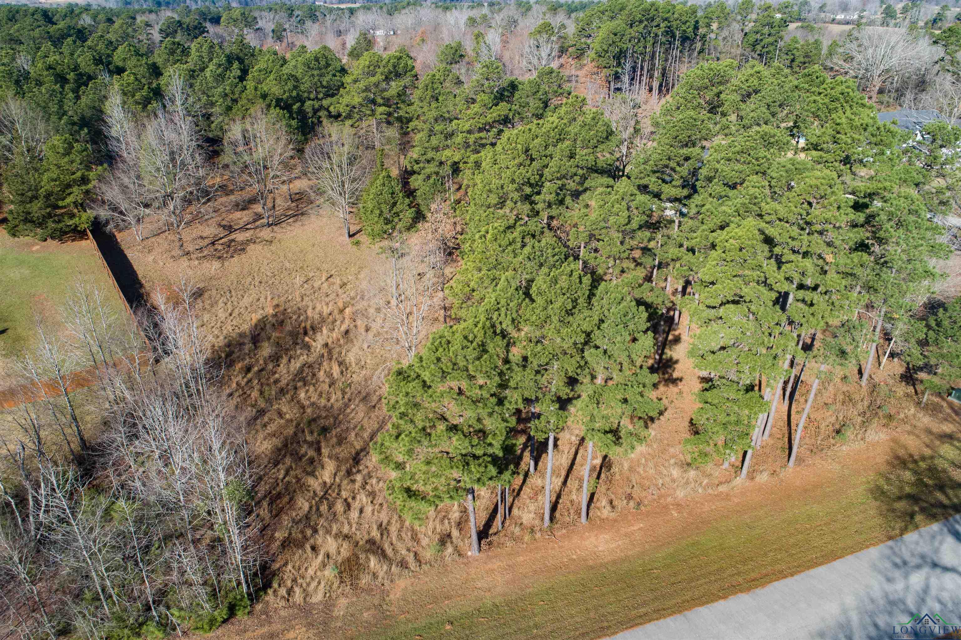 Lot 6 N Clover Lane, Diana, Texas image 4