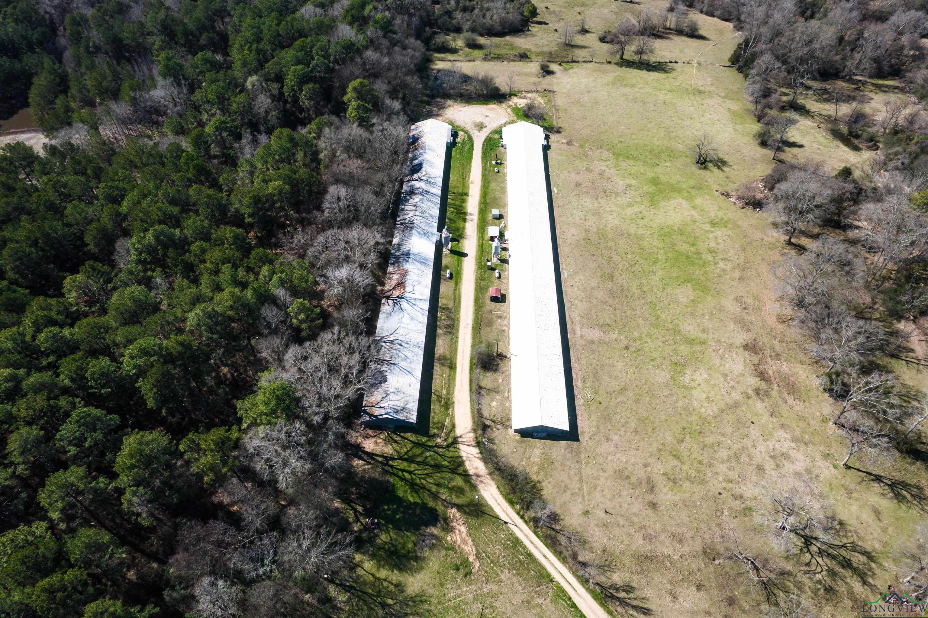 2917-01 Farm Market 3359, Carthage, Texas image 8