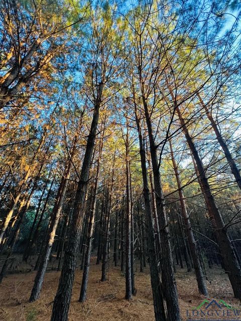 Vacant Land For Sale - Cr 3659<br/> Cass County, Queen City, TX 75572