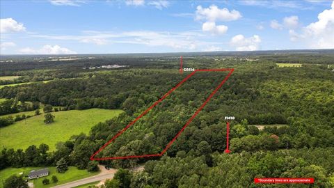 Vacant Land For Sale - TBD Fm 10<br/> Panola County, Gary, TX 75643