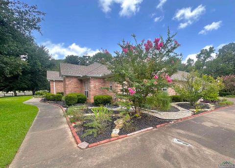 A home in Hallsville