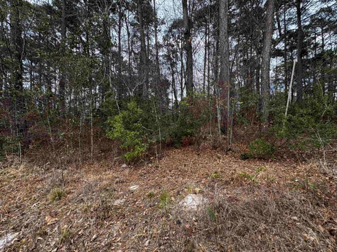 Vacant Land For Sale - TBD Dogwood Tr<br/> Harleton, TX 75651