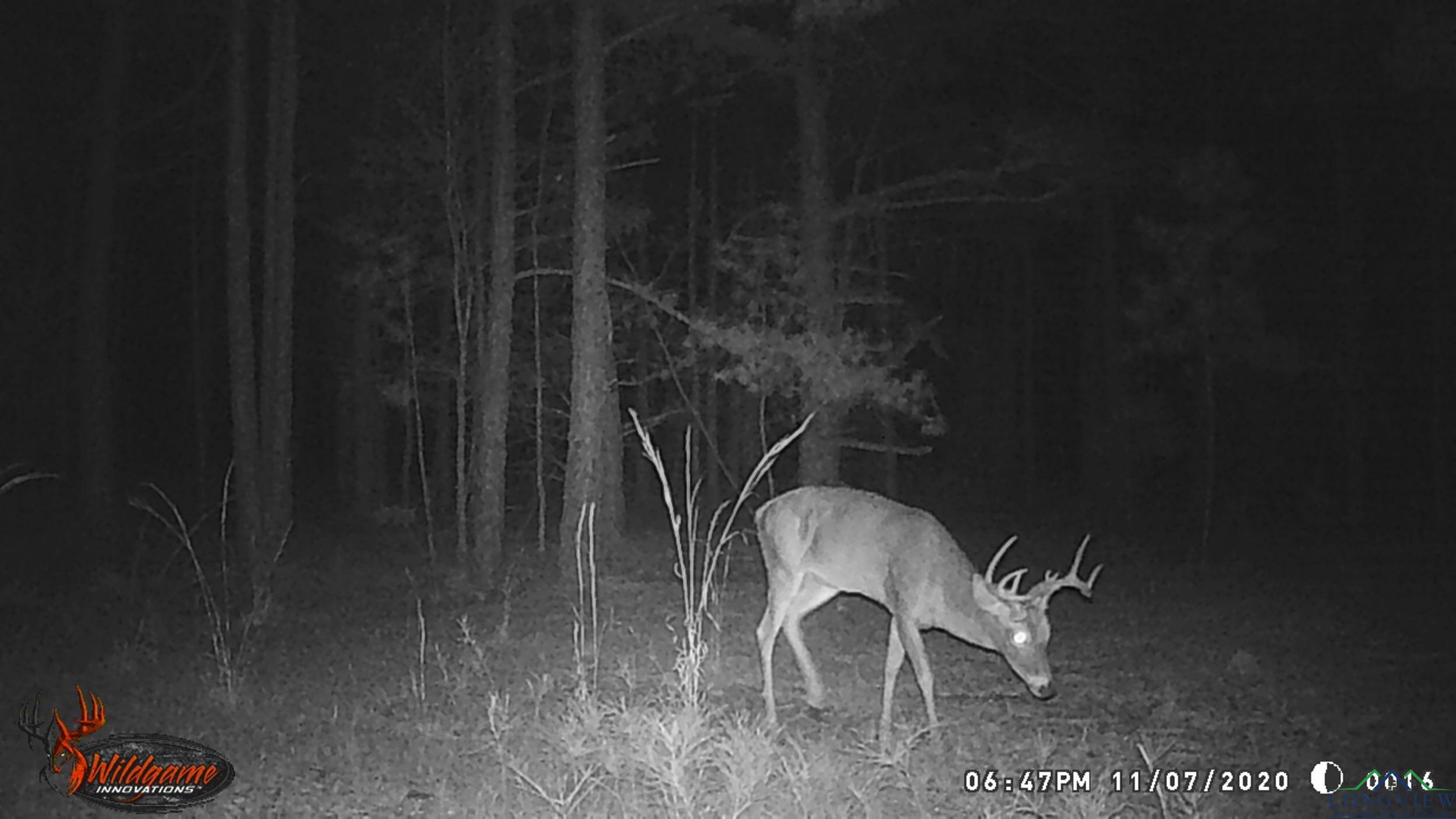 TBD Fm 342, Hughes Springs, Texas image 8