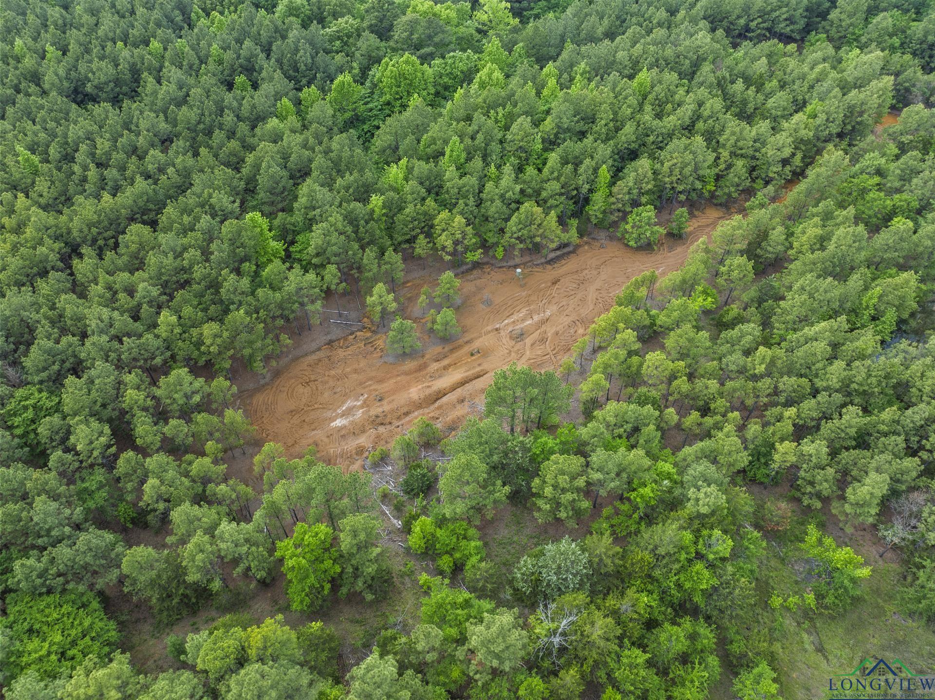 TBD Fm 342, Hughes Springs, Texas image 16