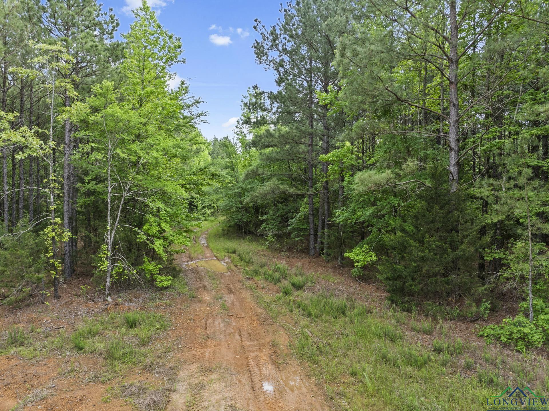 TBD Fm 342, Hughes Springs, Texas image 28