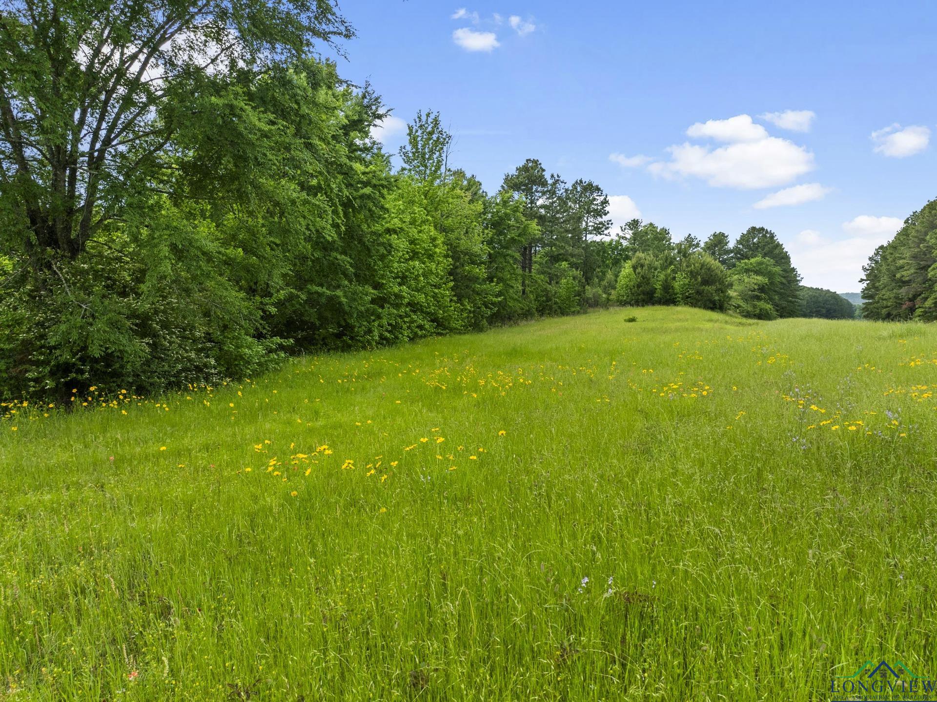 TBD Fm 342, Hughes Springs, Texas image 31