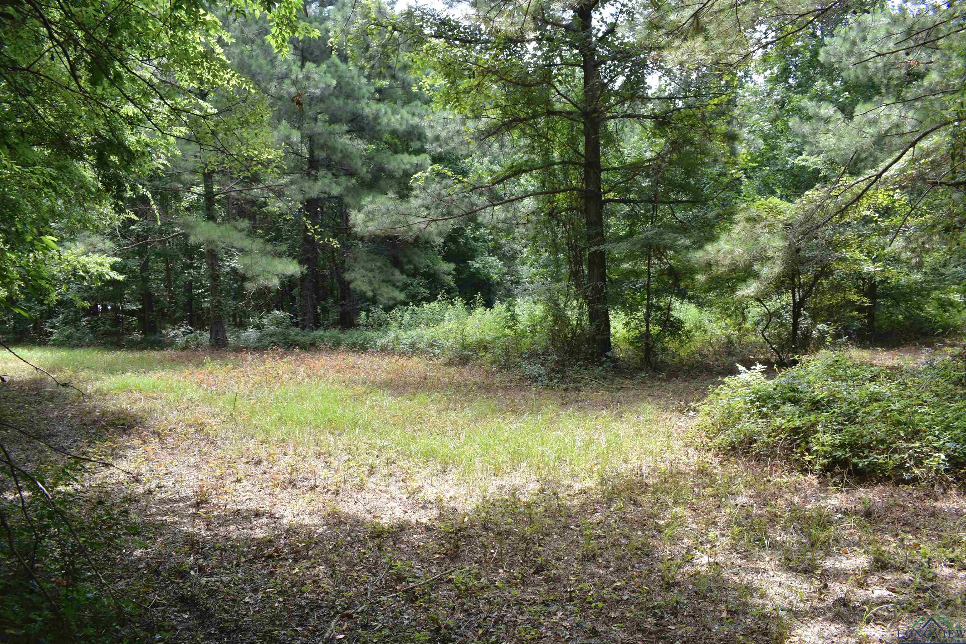 12545 Fm 968 W, Longview, Texas image 39