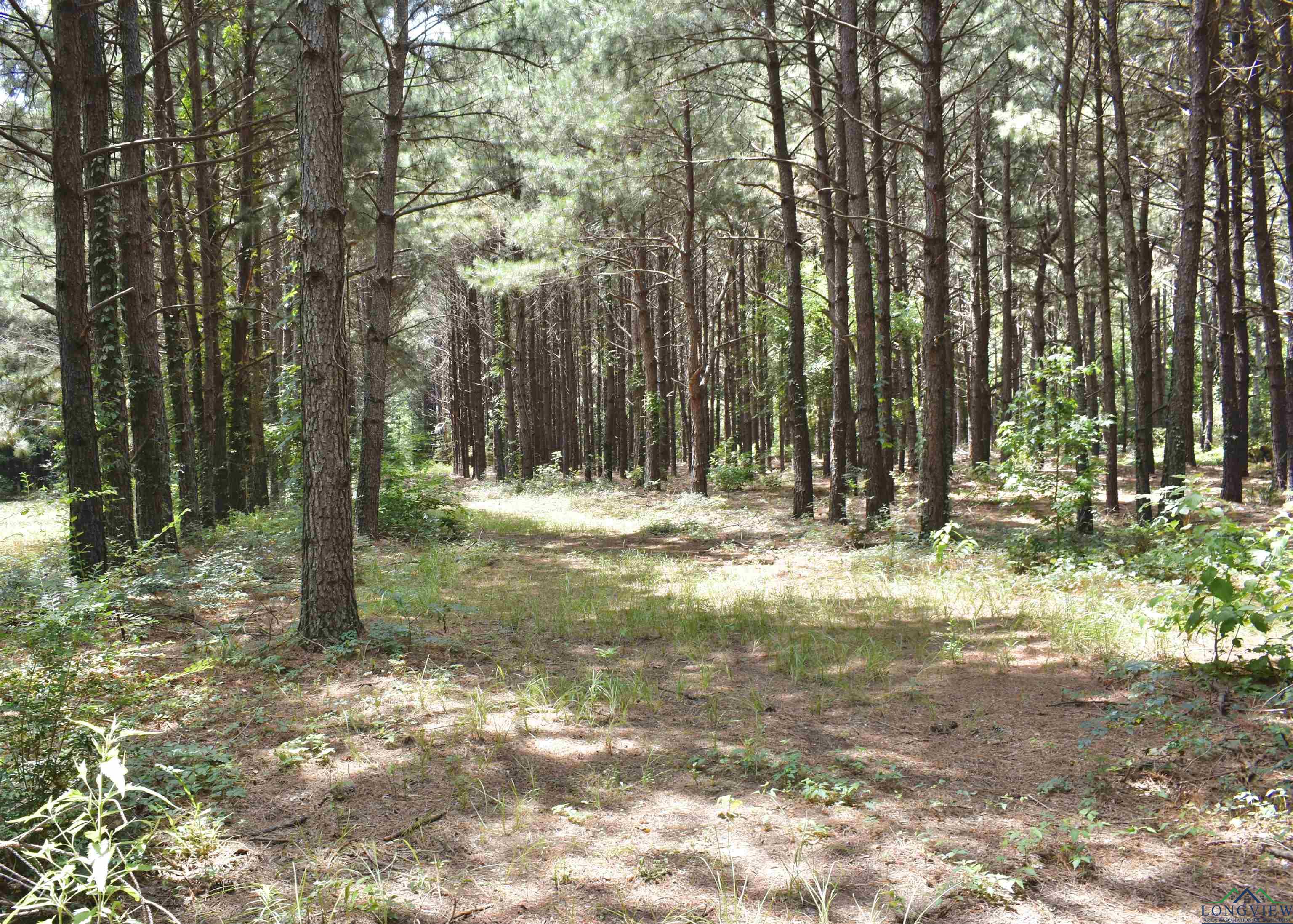 12545 Fm 968 W, Longview, Texas image 40