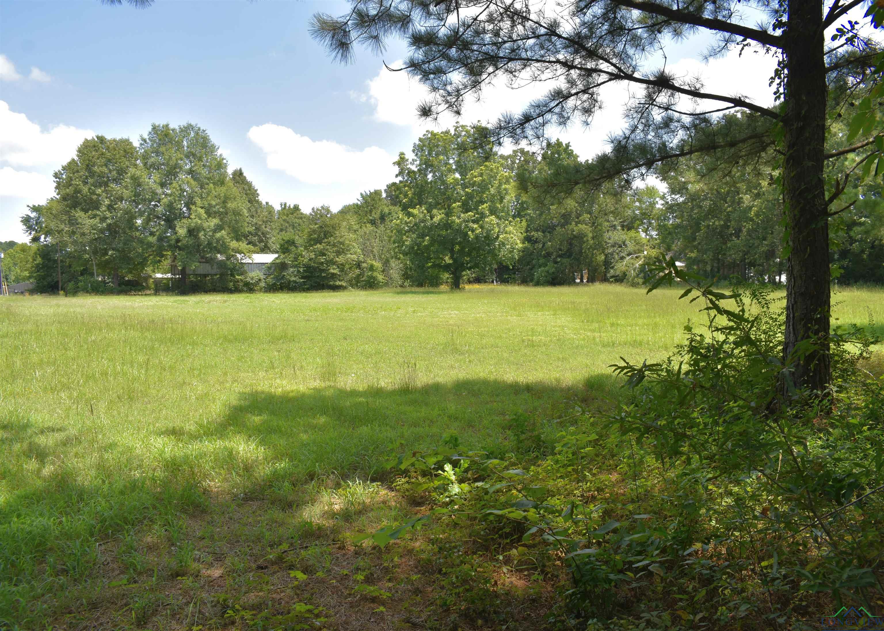 12545 Fm 968 W, Longview, Texas image 38