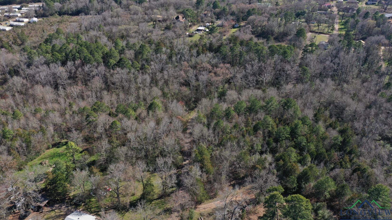 TBD Pinecrest, Avinger, Texas image 7