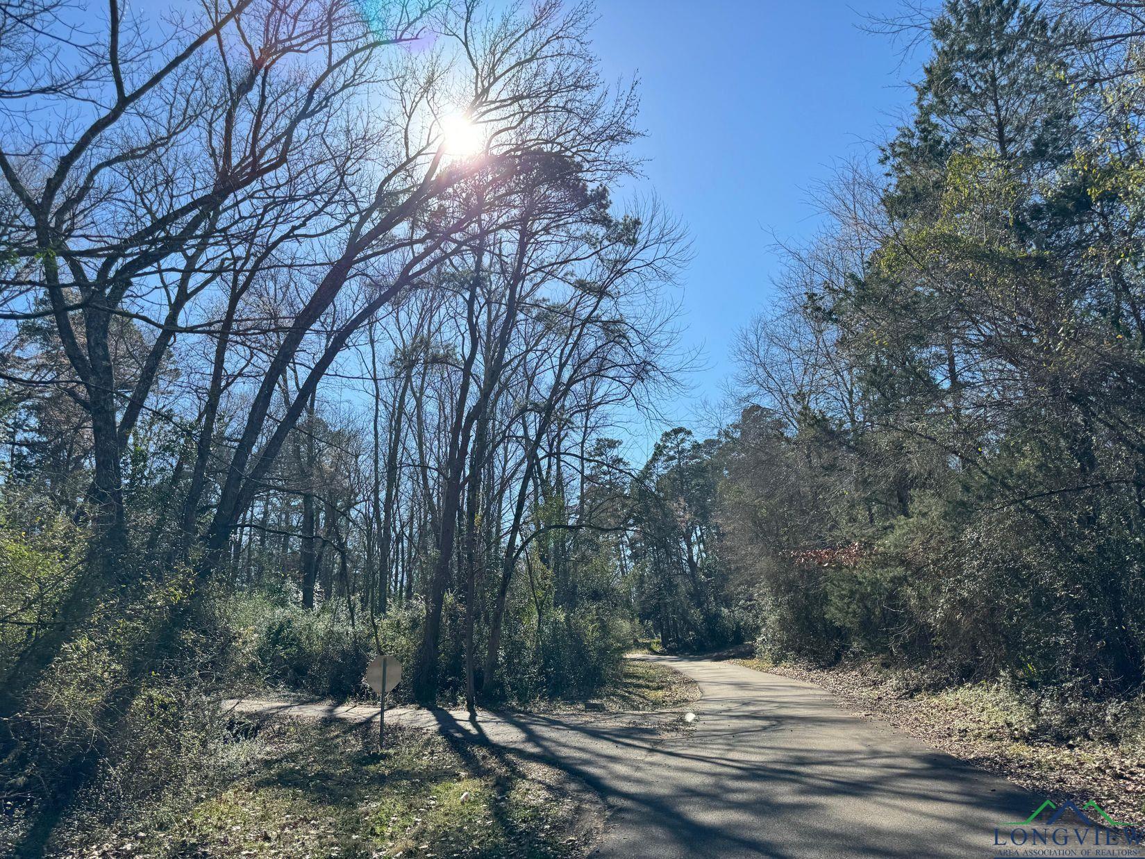 TBD Pinecrest, Avinger, Texas image 18