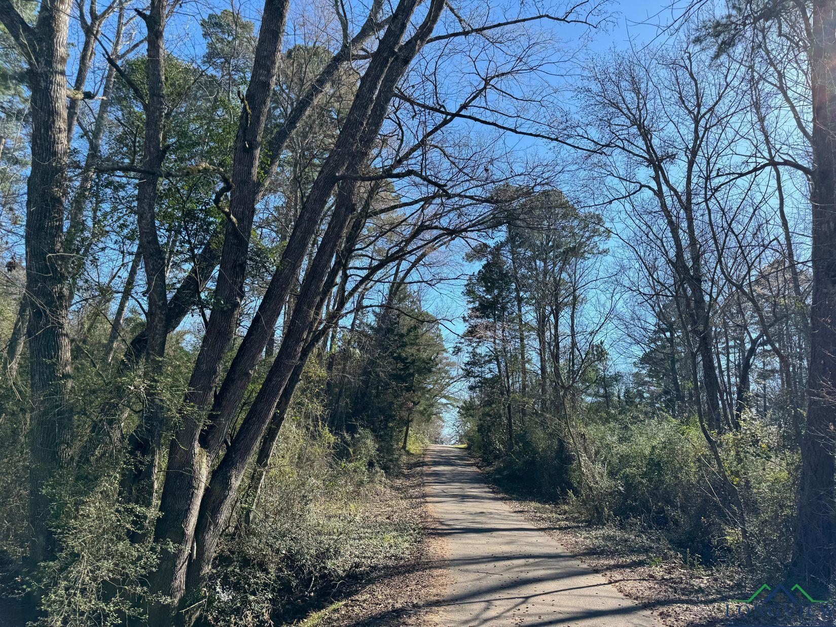 TBD Pinecrest, Avinger, Texas image 19