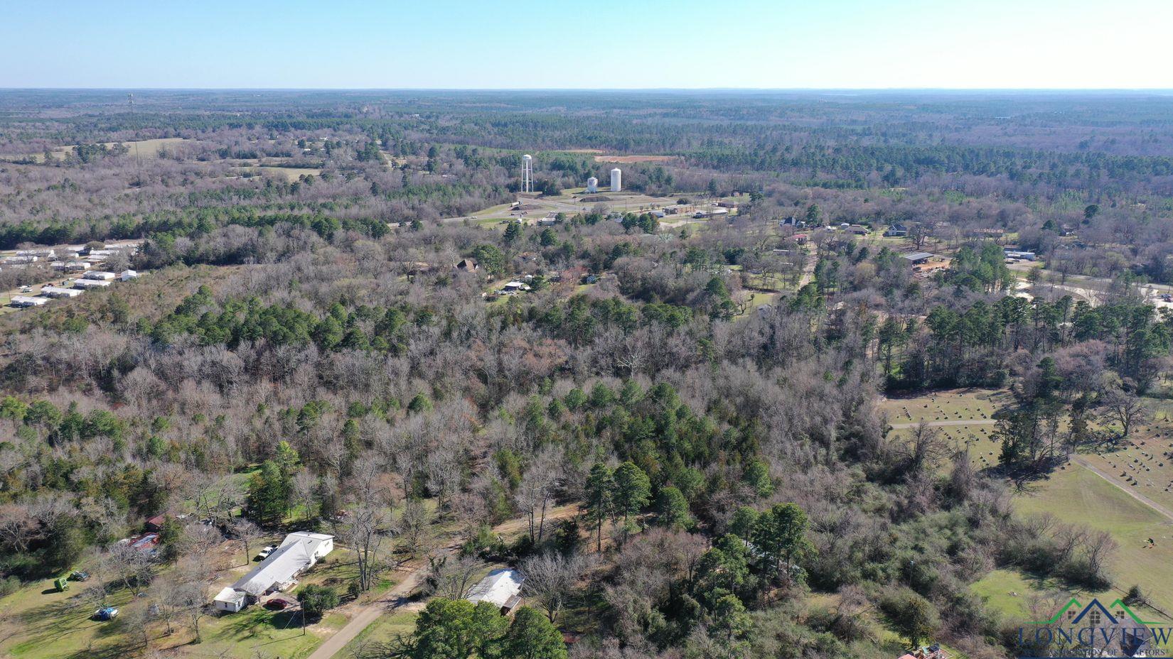 TBD Pinecrest, Avinger, Texas image 4