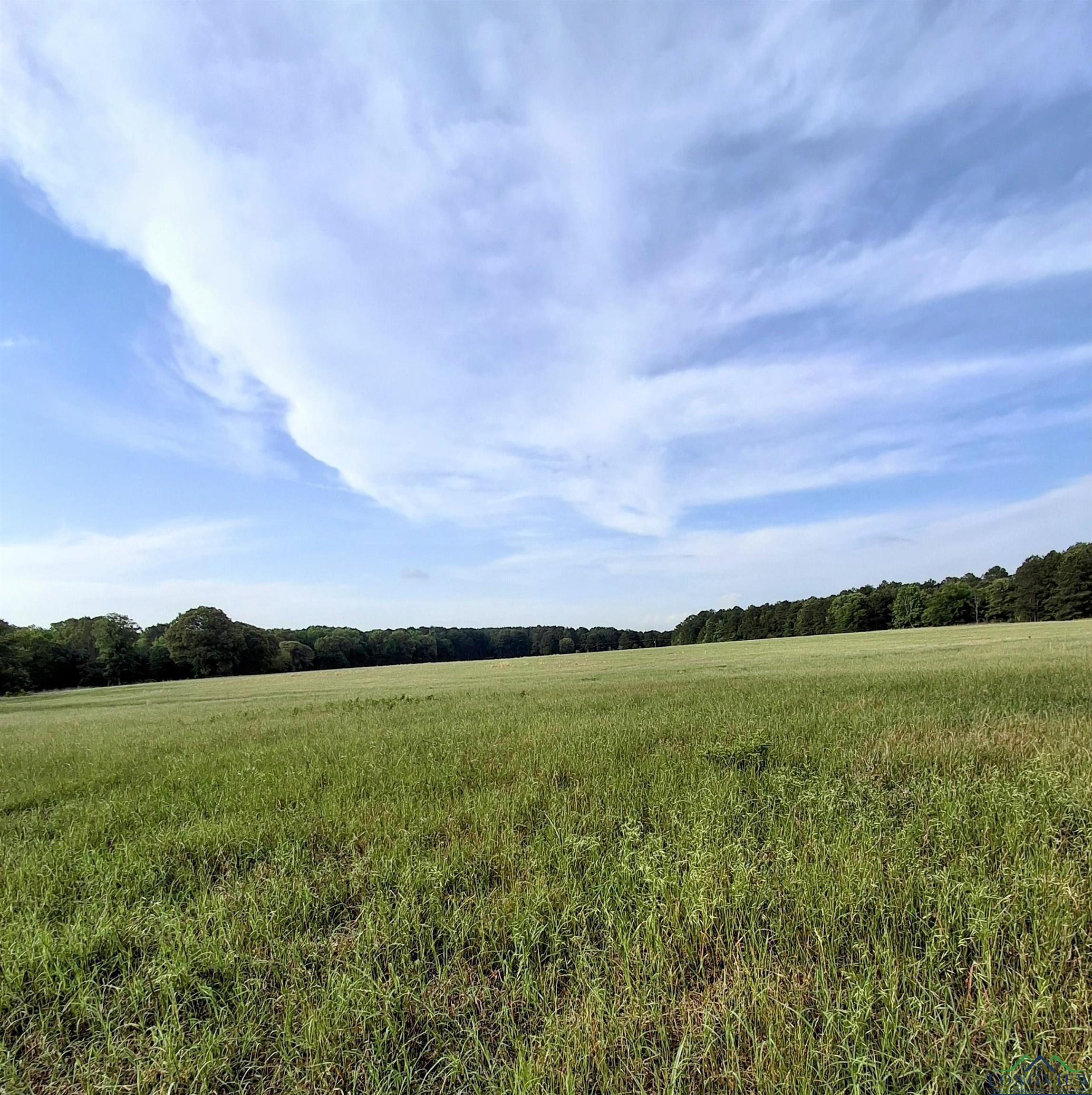 P-15 OFF Sh 315, Mount Enterprise, Texas image 3
