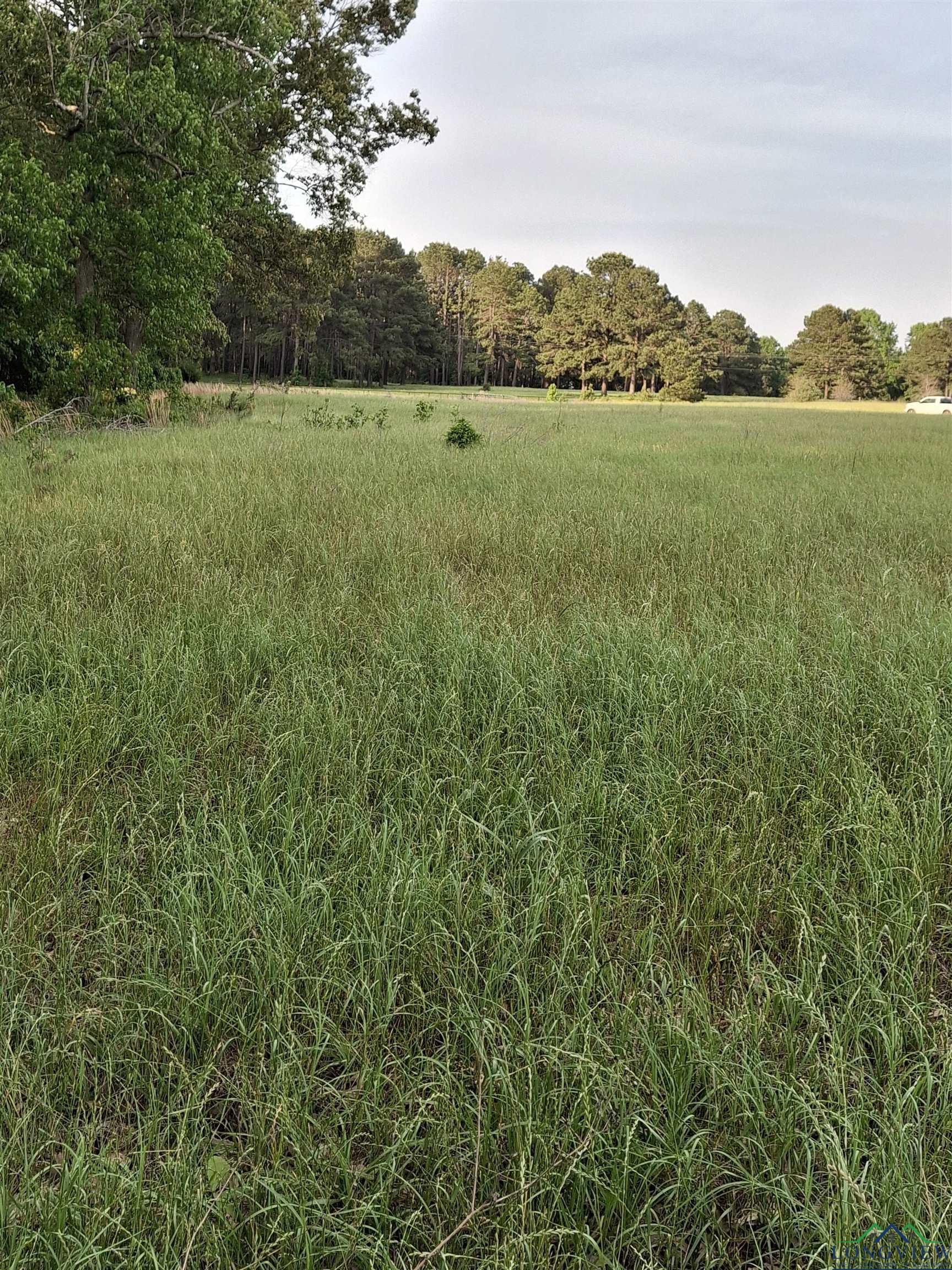 P-15 OFF Sh 315, Mount Enterprise, Texas image 14