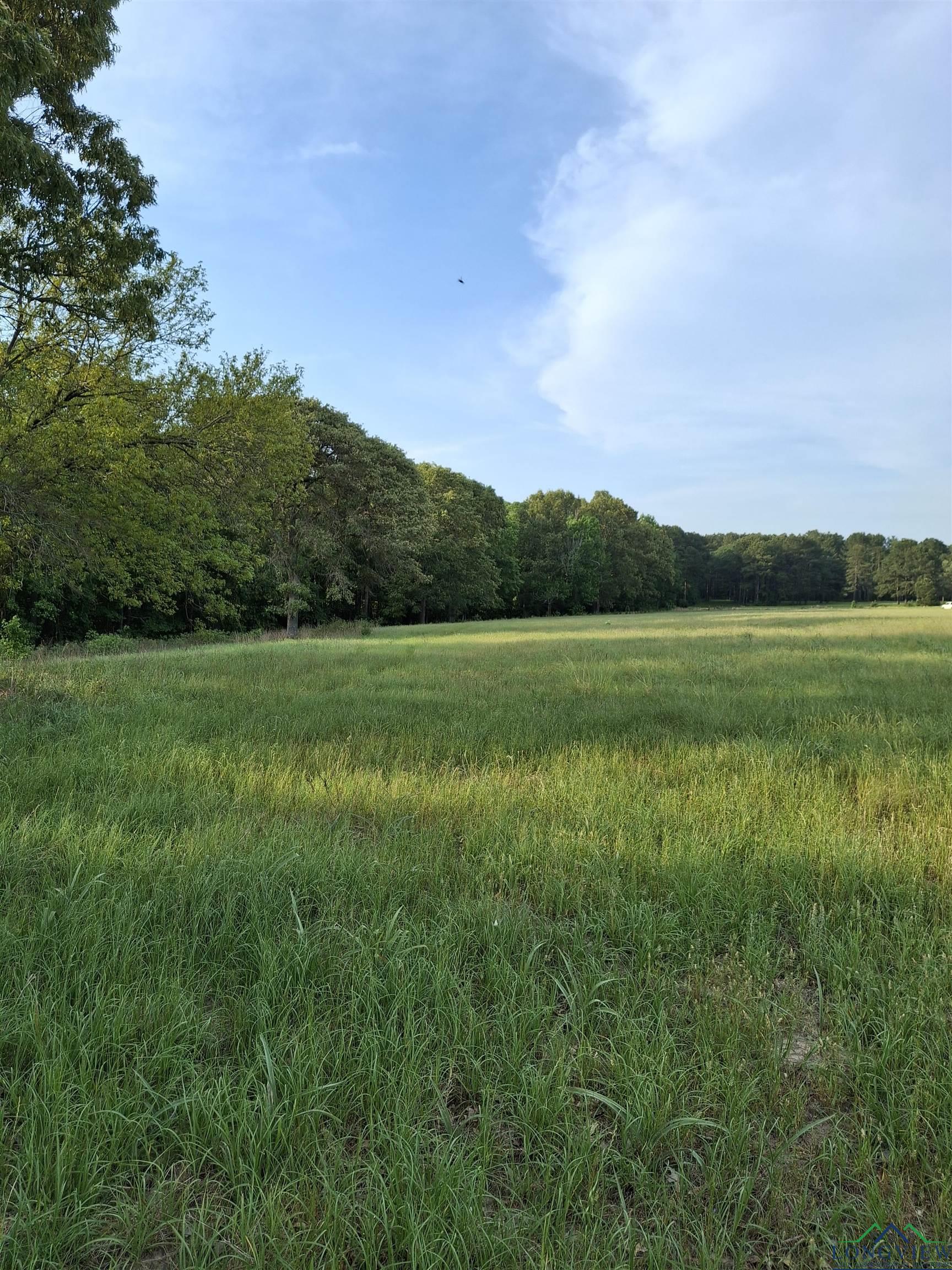P-15 OFF Sh 315, Mount Enterprise, Texas image 1