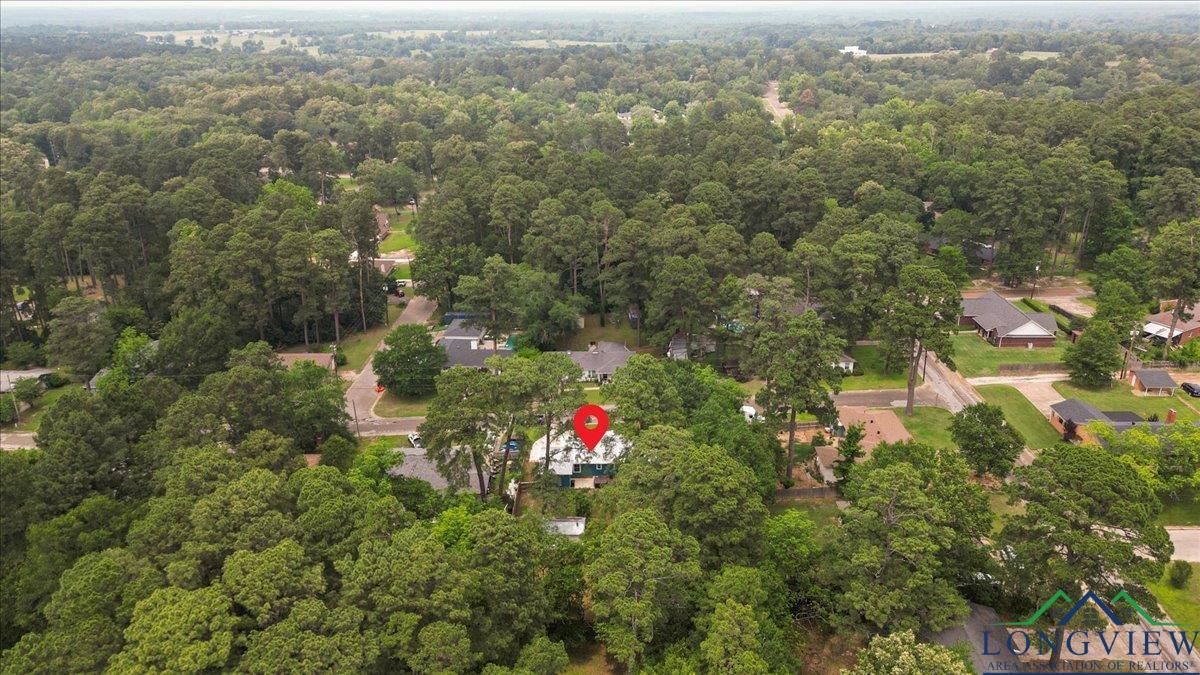 105 Brooksy St, Gilmer, Texas image 30