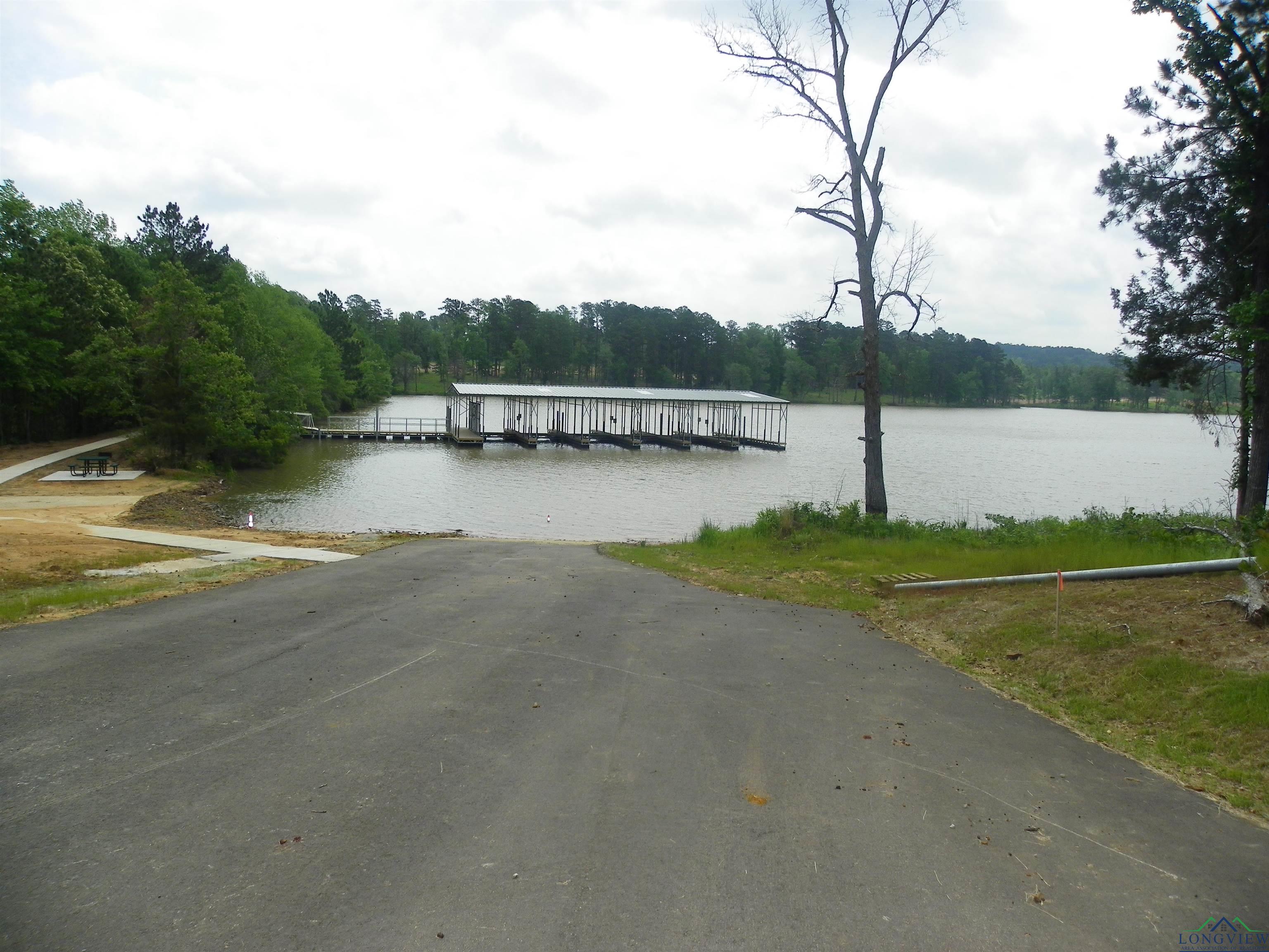 Big Rock Lake Rd, Hallsville, Texas image 11