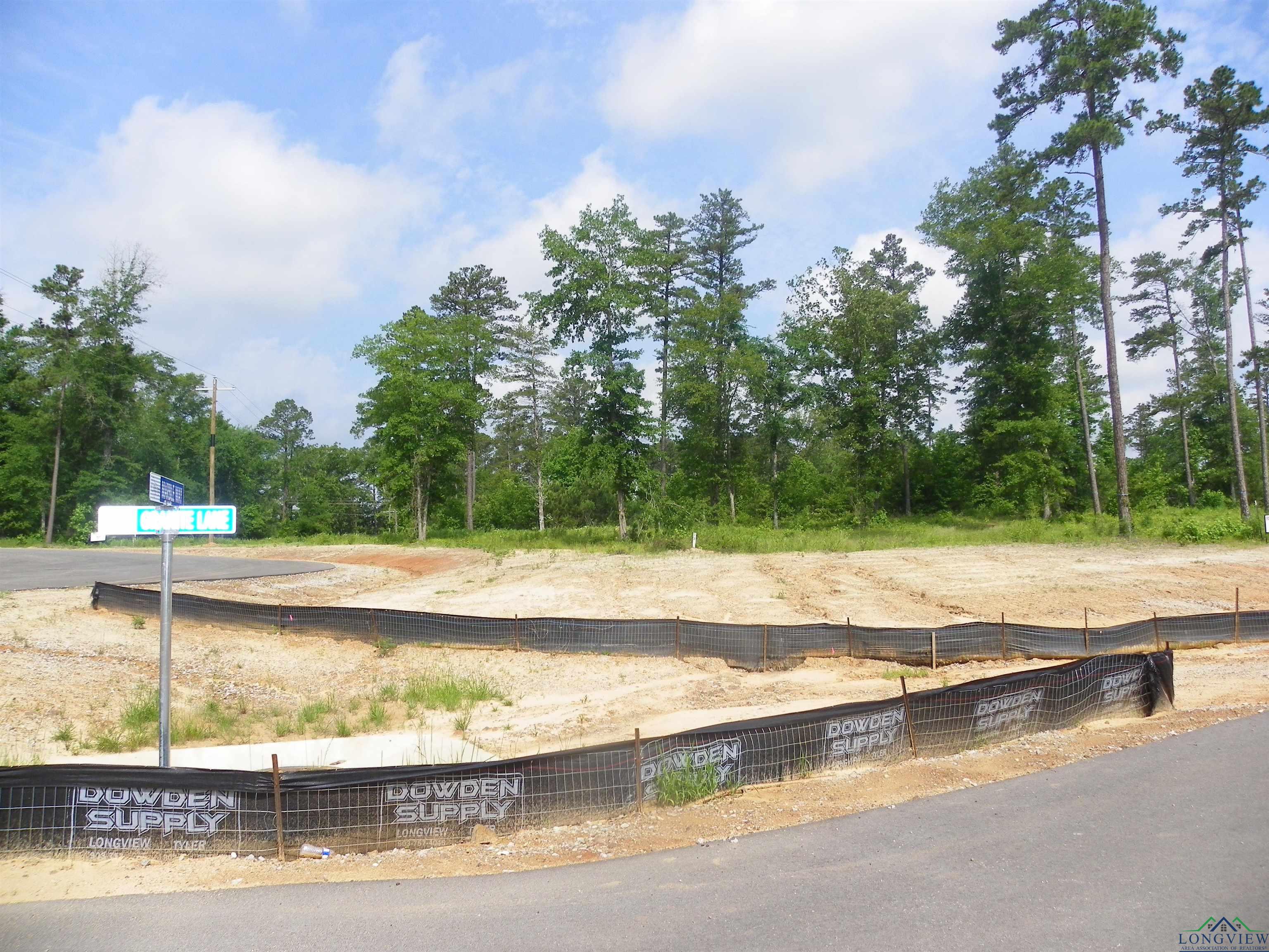 Big Rock Lake Rd, Hallsville, Texas image 3