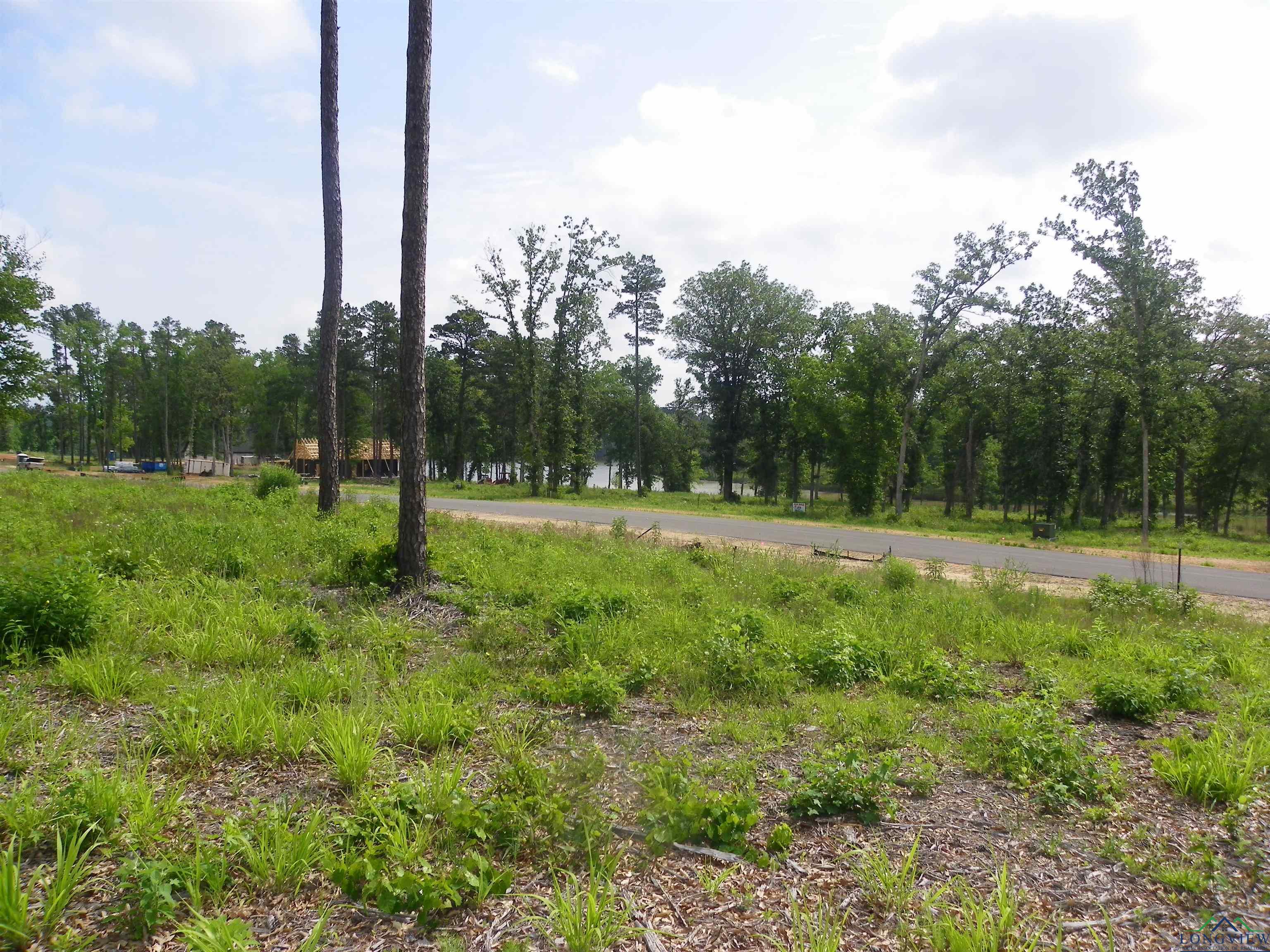 Big Rock Lake Rd, Hallsville, Texas image 8