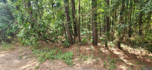 63 TALL OAK RD, HOOKS, TX 75561 - Image 7efca0a7fda82af75366fb999260a7ce/850423927