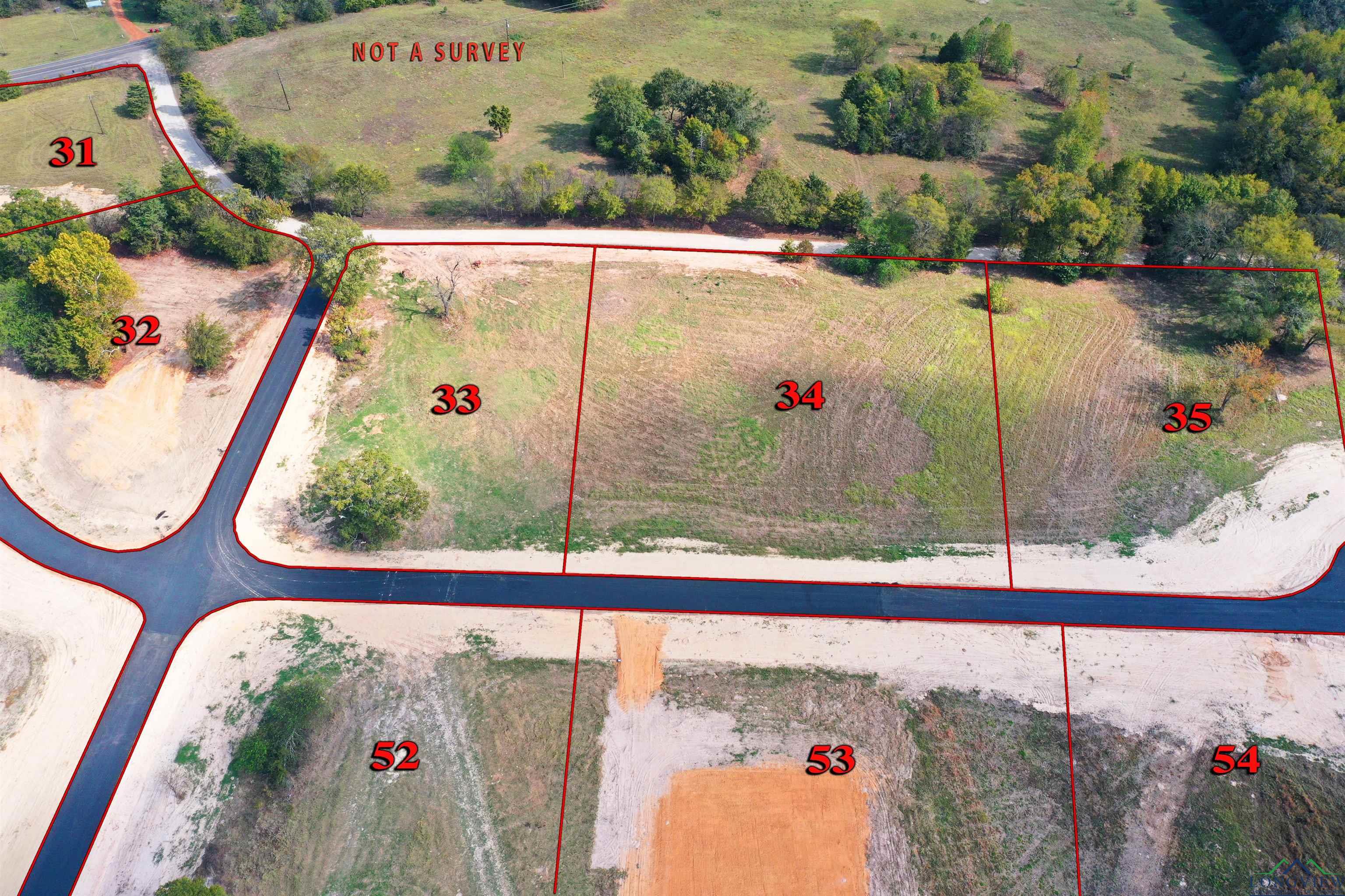 Tbd Lot 32 Southshores, Pittsburg, Texas image 2