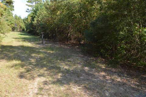 Vacant Land For Sale - TBD Shady Grove Rd<br/> Jefferson, TX 75657