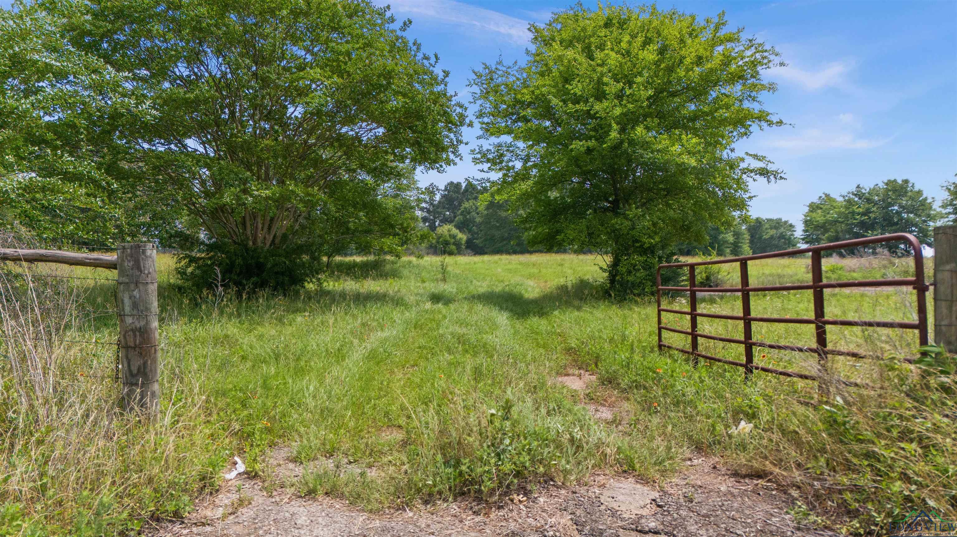 20046 Us Hwy 69s, Alto, Texas image 1