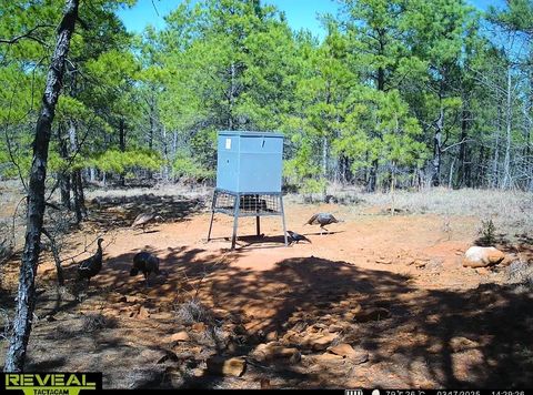 Vacant Land For Sale - TBD Radio Rd<br/> Lone Star, TX 75668