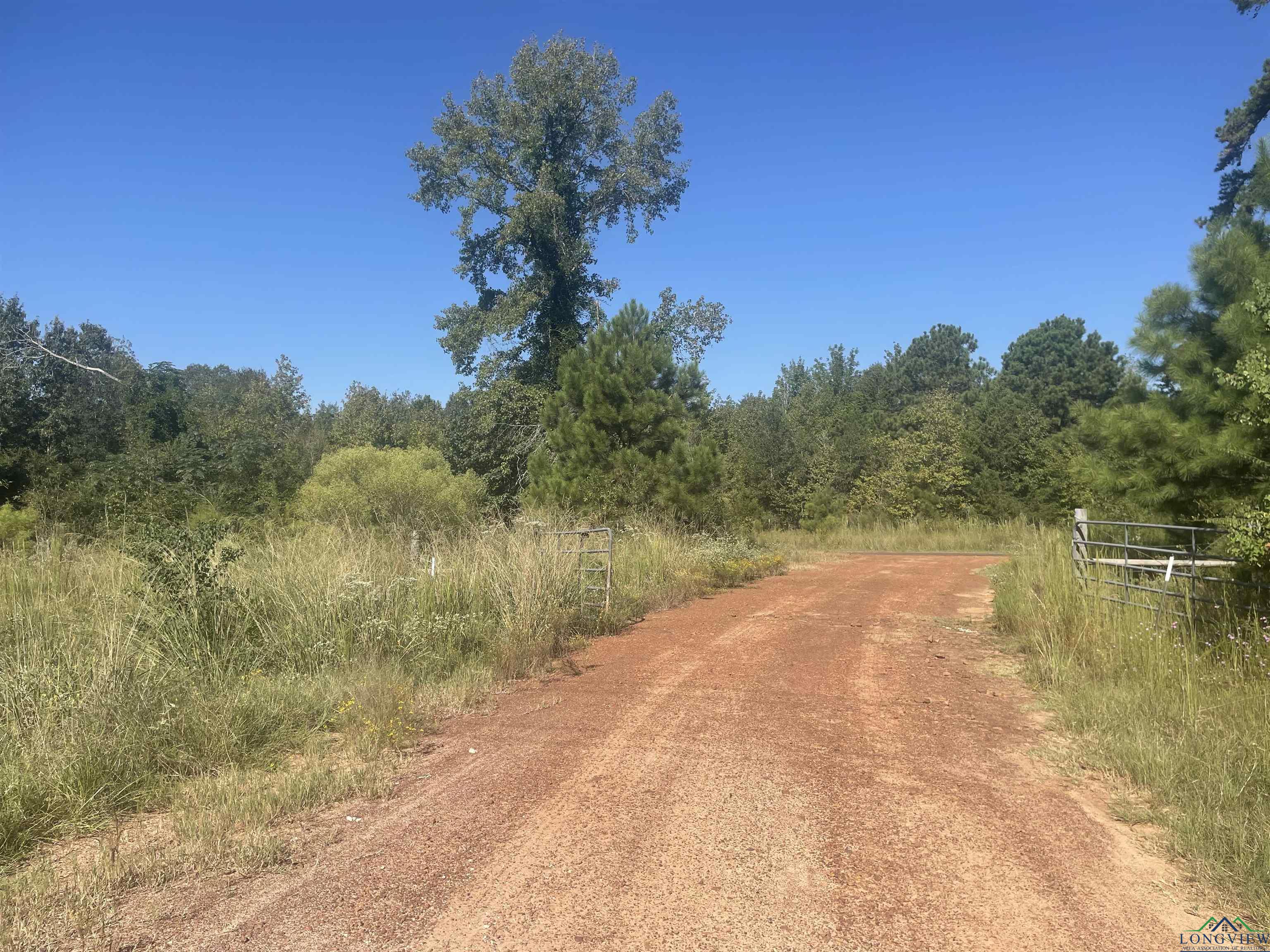 19204 Cr 3230, Mount Enterprise, Texas image 8