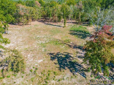 Vacant Land For Sale - 208 Angus Rd<br/> Big Sandy, TX 75755