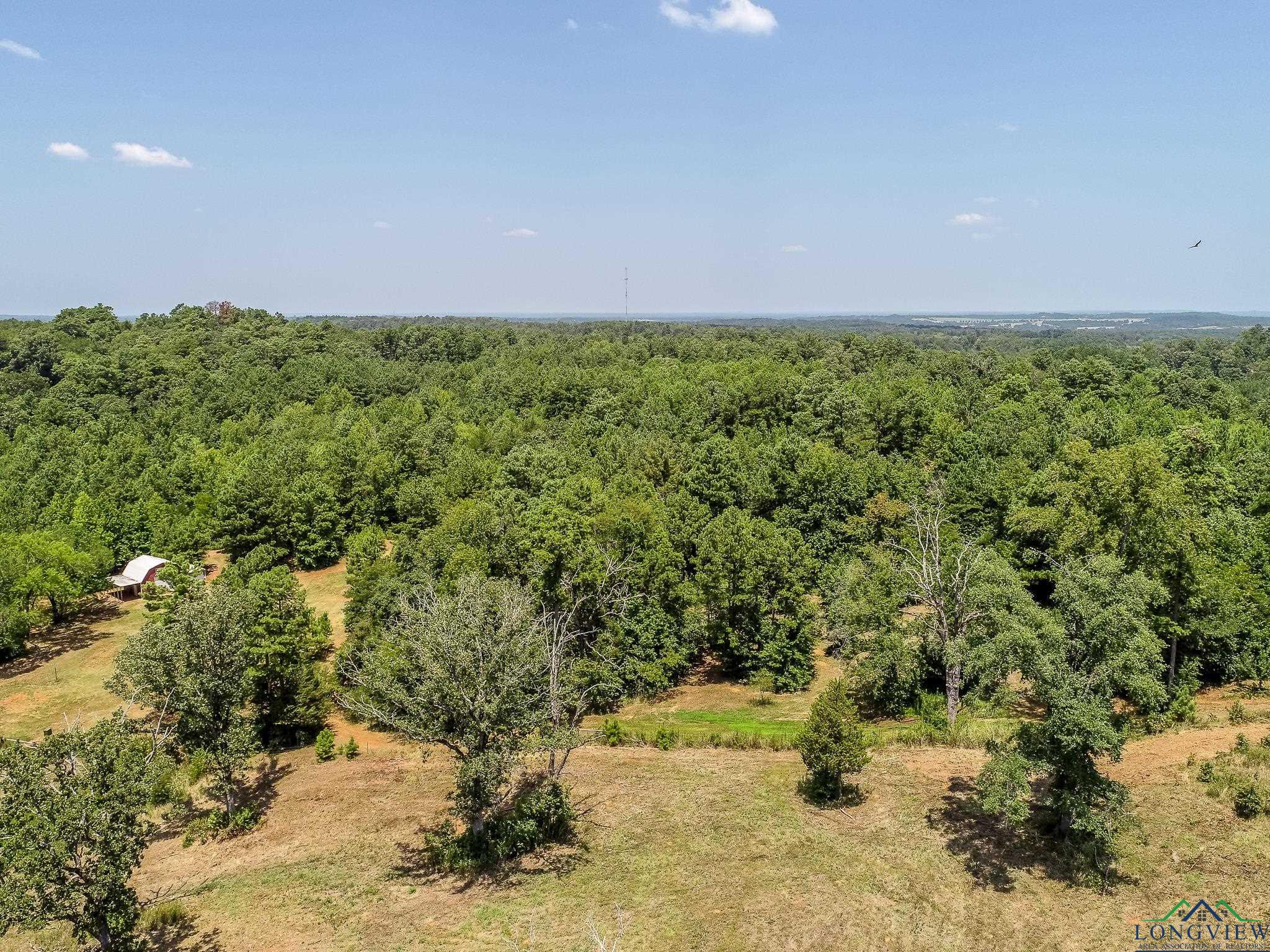 LOT 1 County Road 358, Winona, Texas image 10