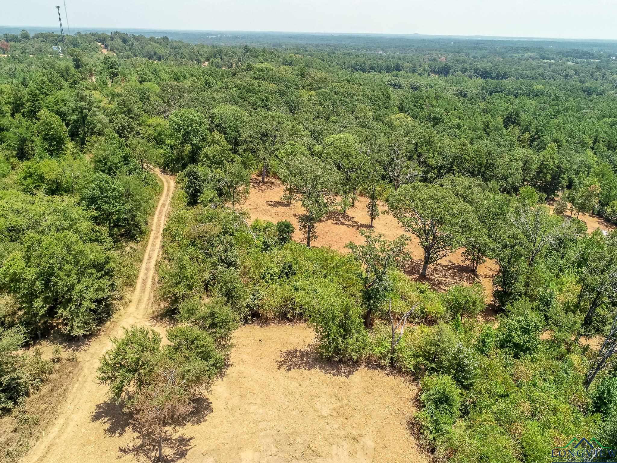 LOT 1 County Road 358, Winona, Texas image 16