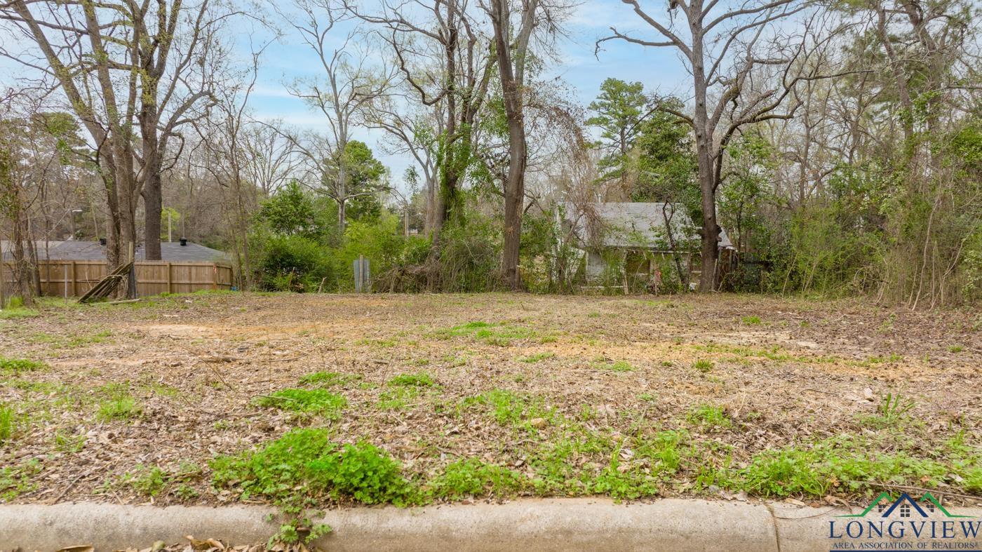 300 Walton Ave, Gladewater, Texas image 4