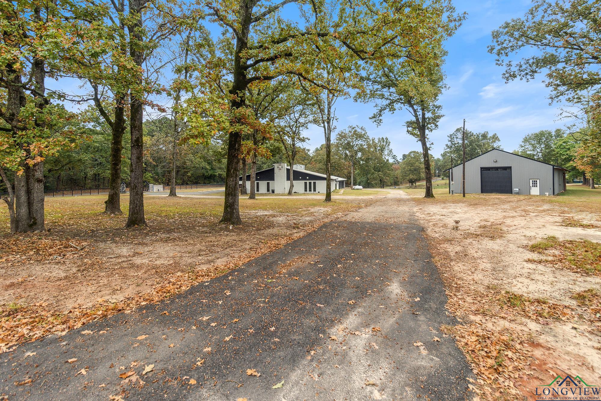 6922 Green Hills Rd, Gilmer, Texas image 8